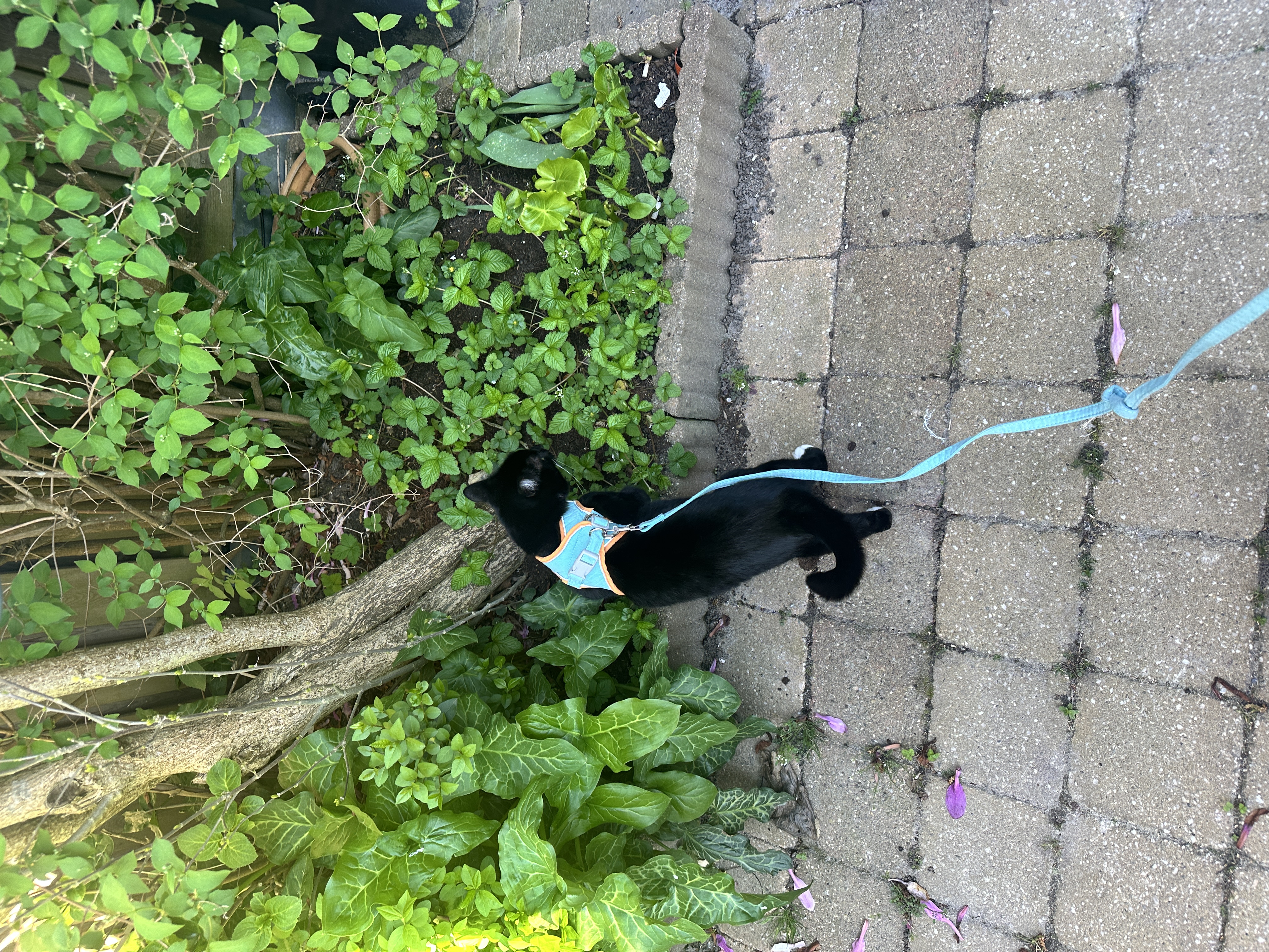 image-13