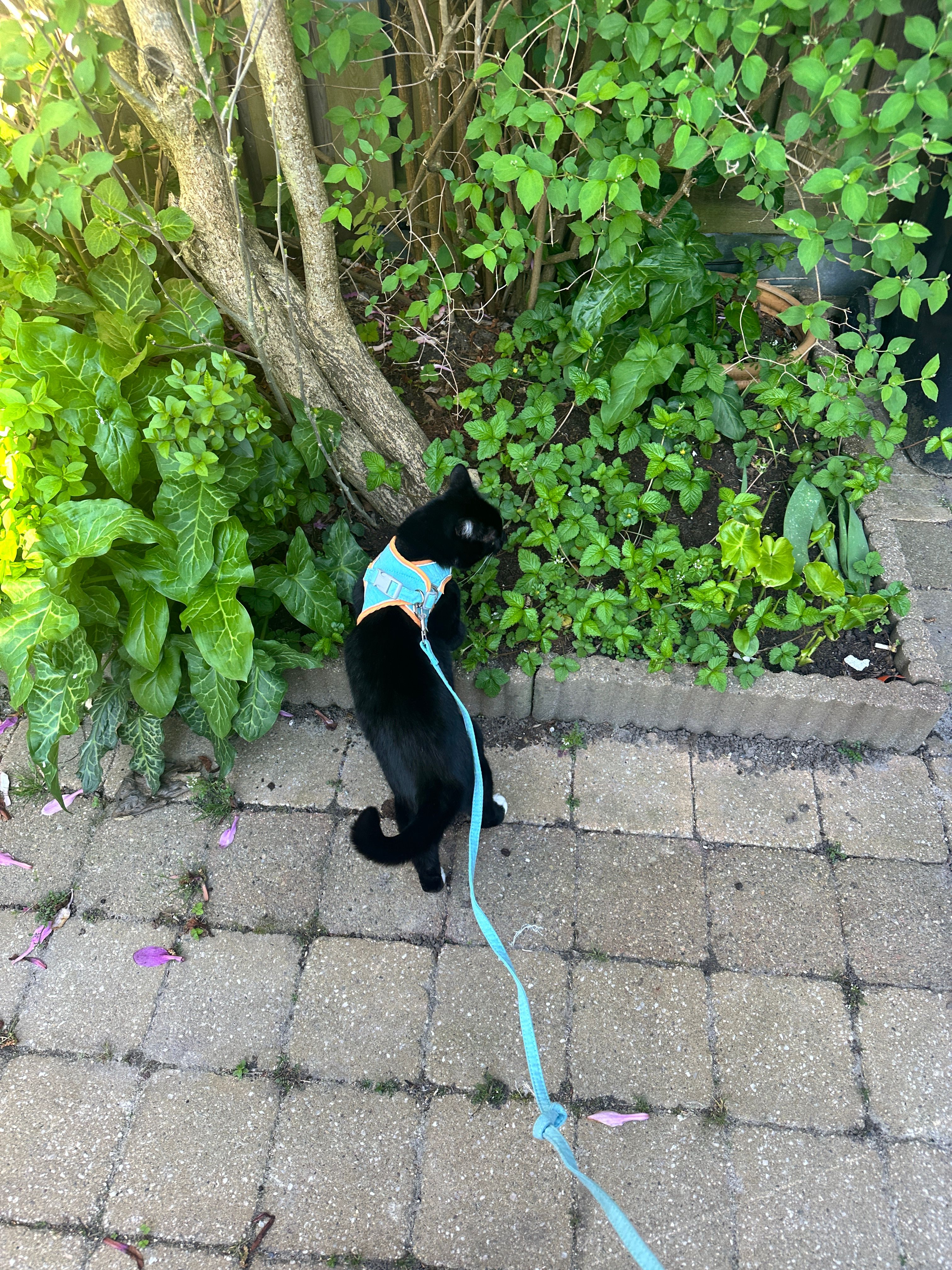 image-13
