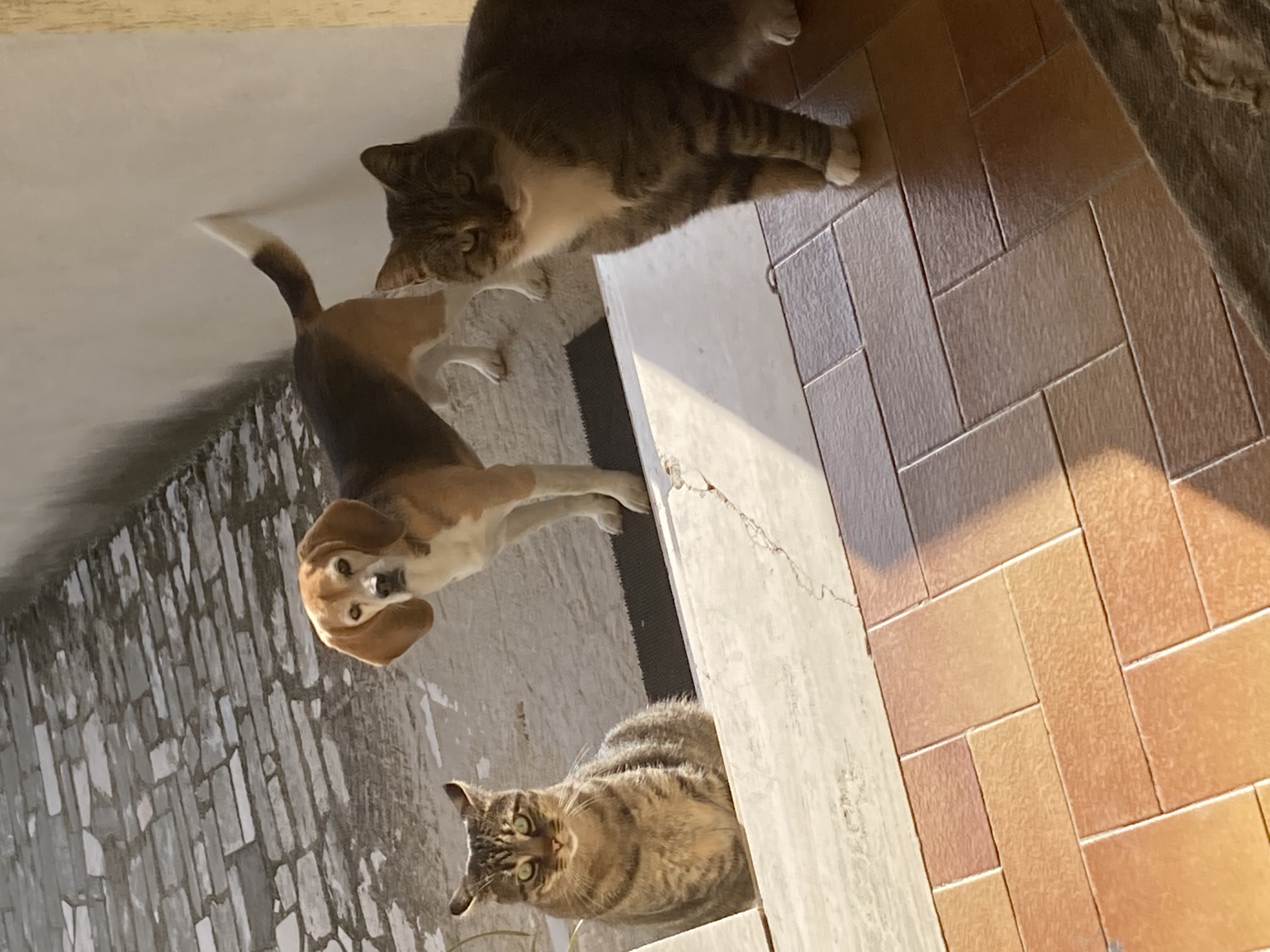 image-5