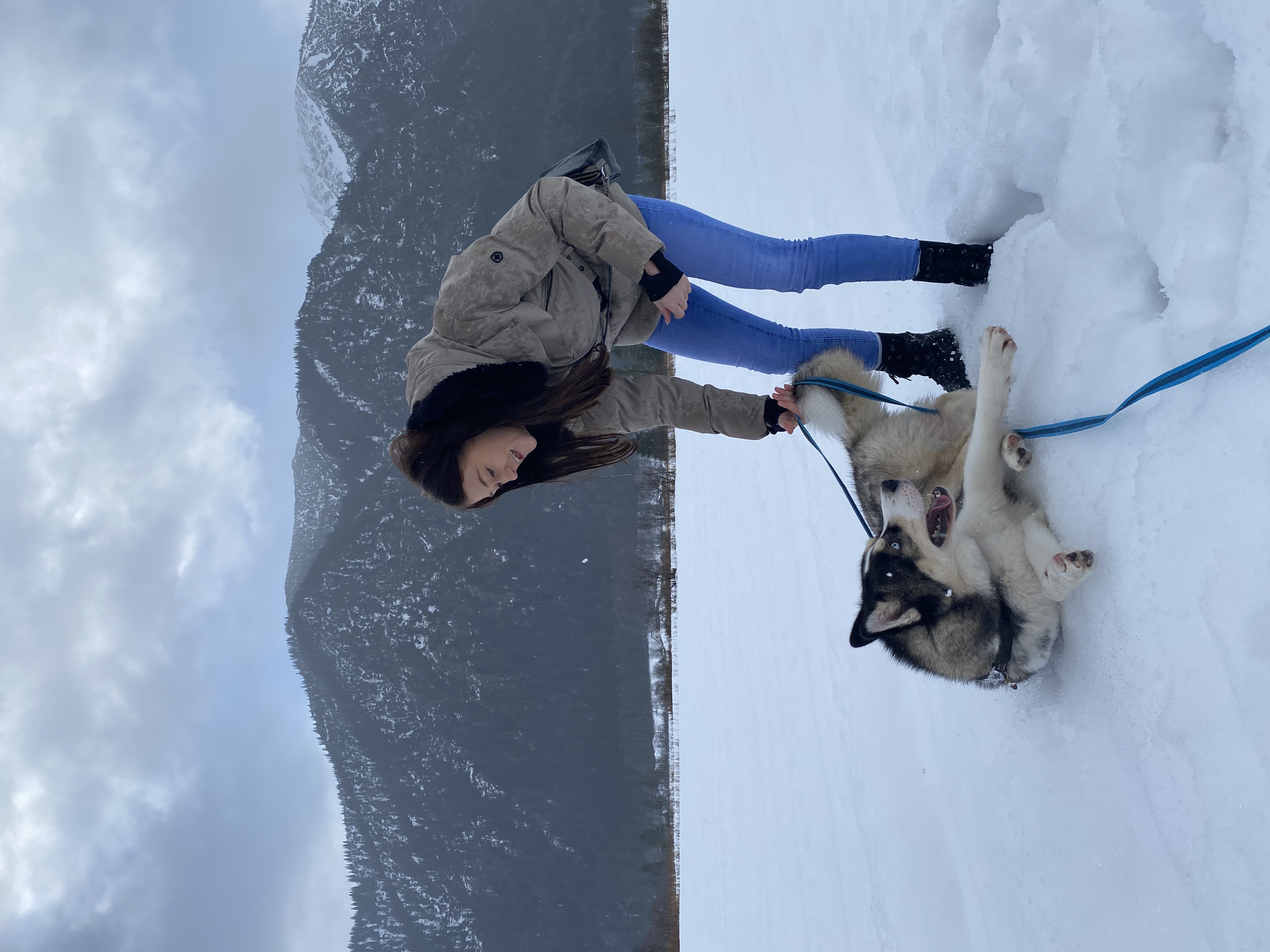 image-6