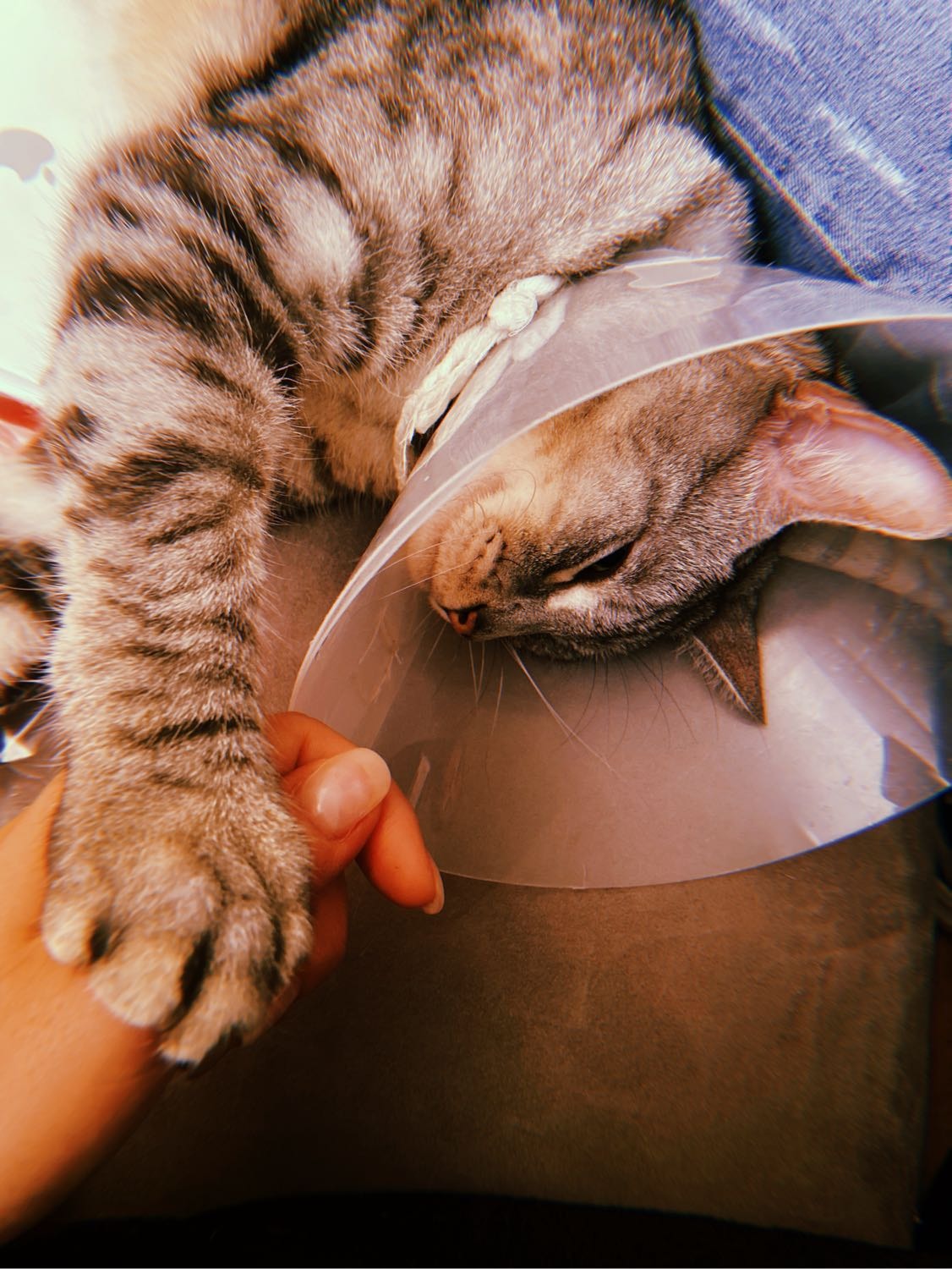 image-9