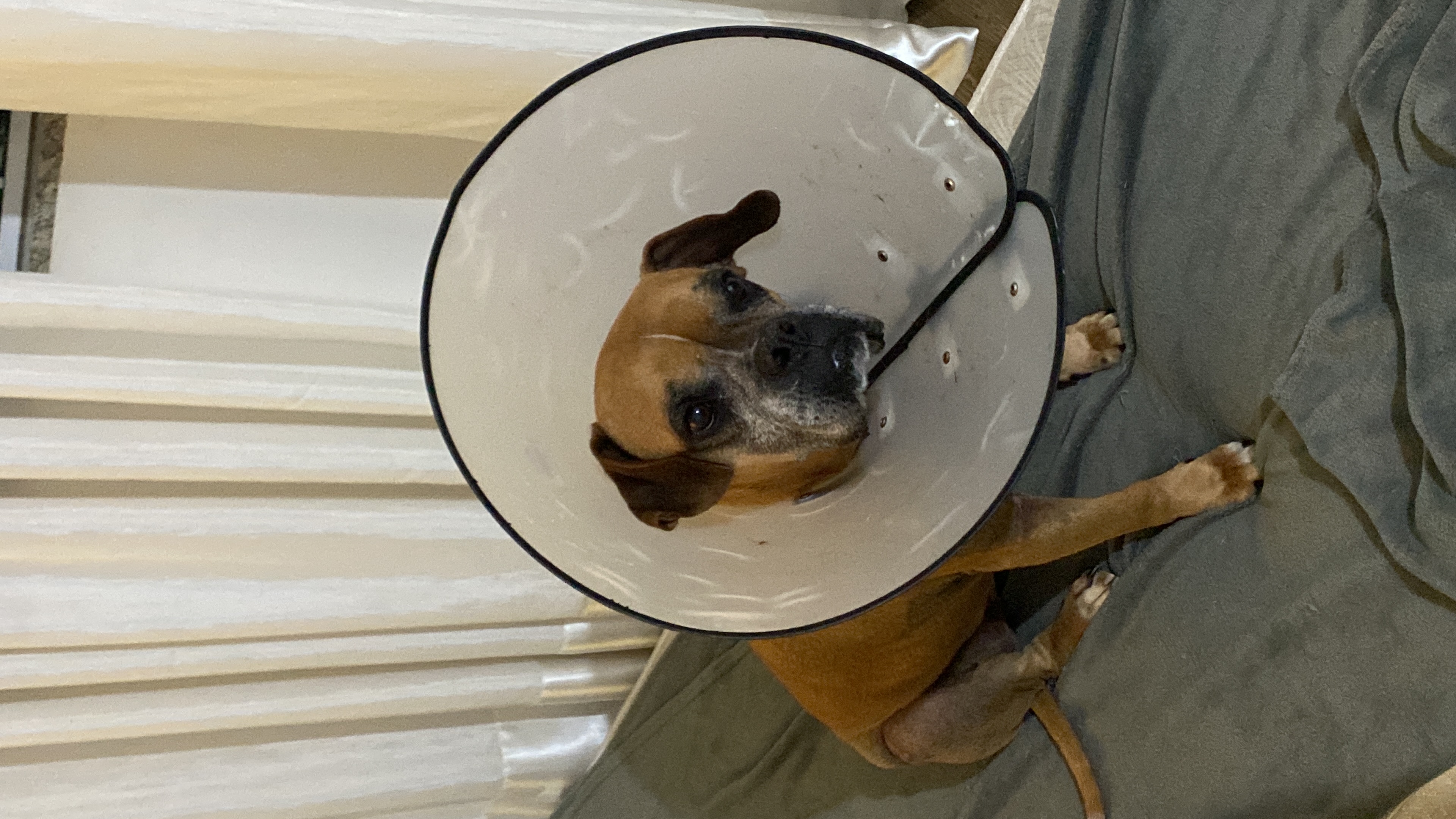 image-9
