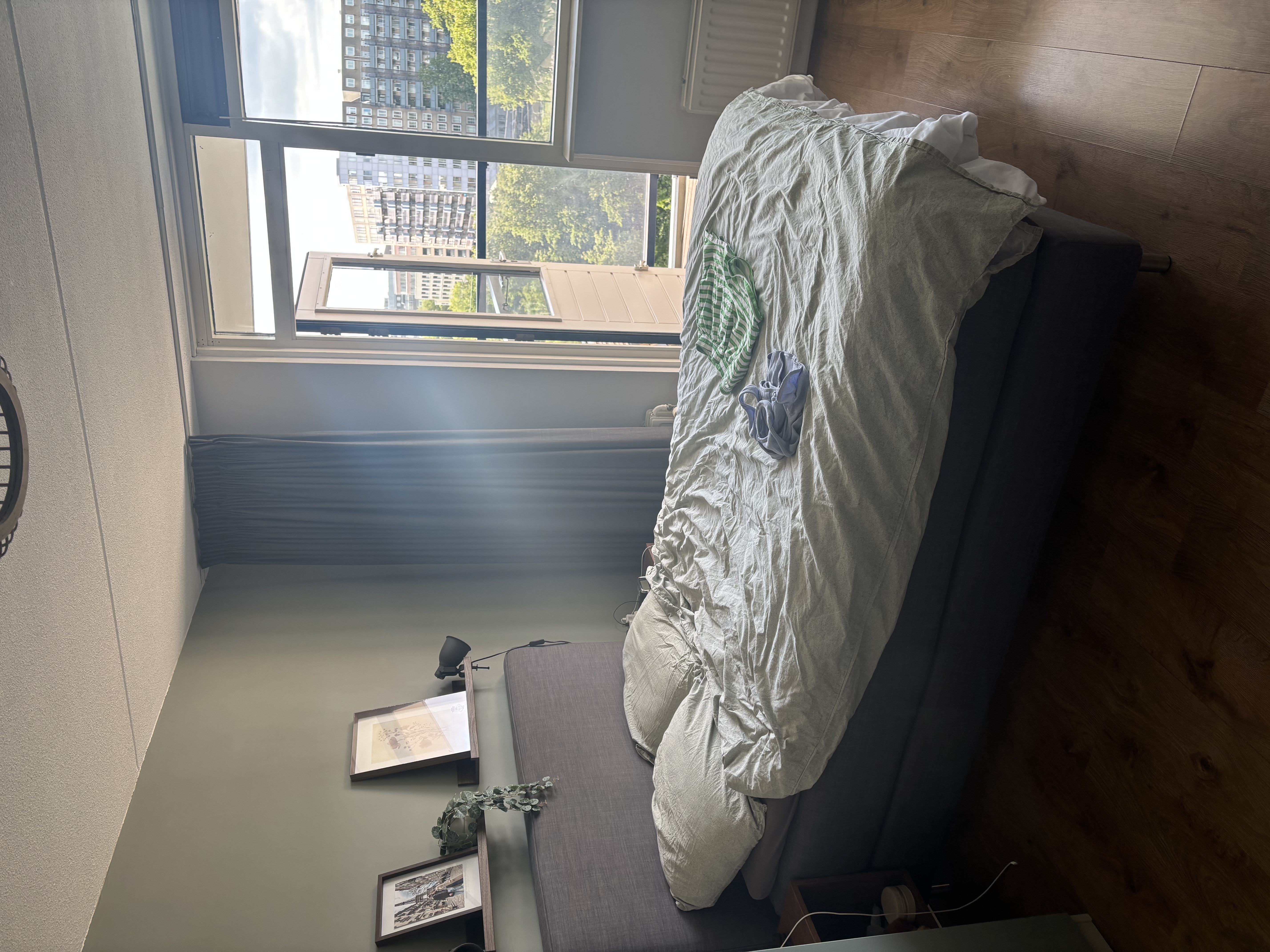image-15