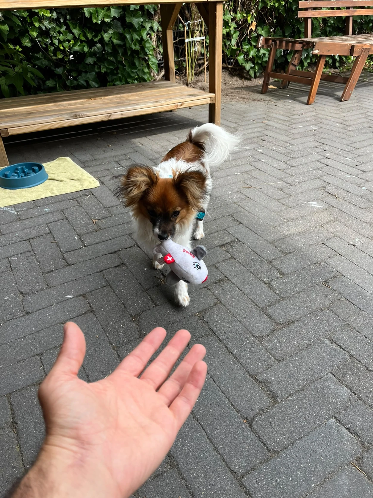 image-19
