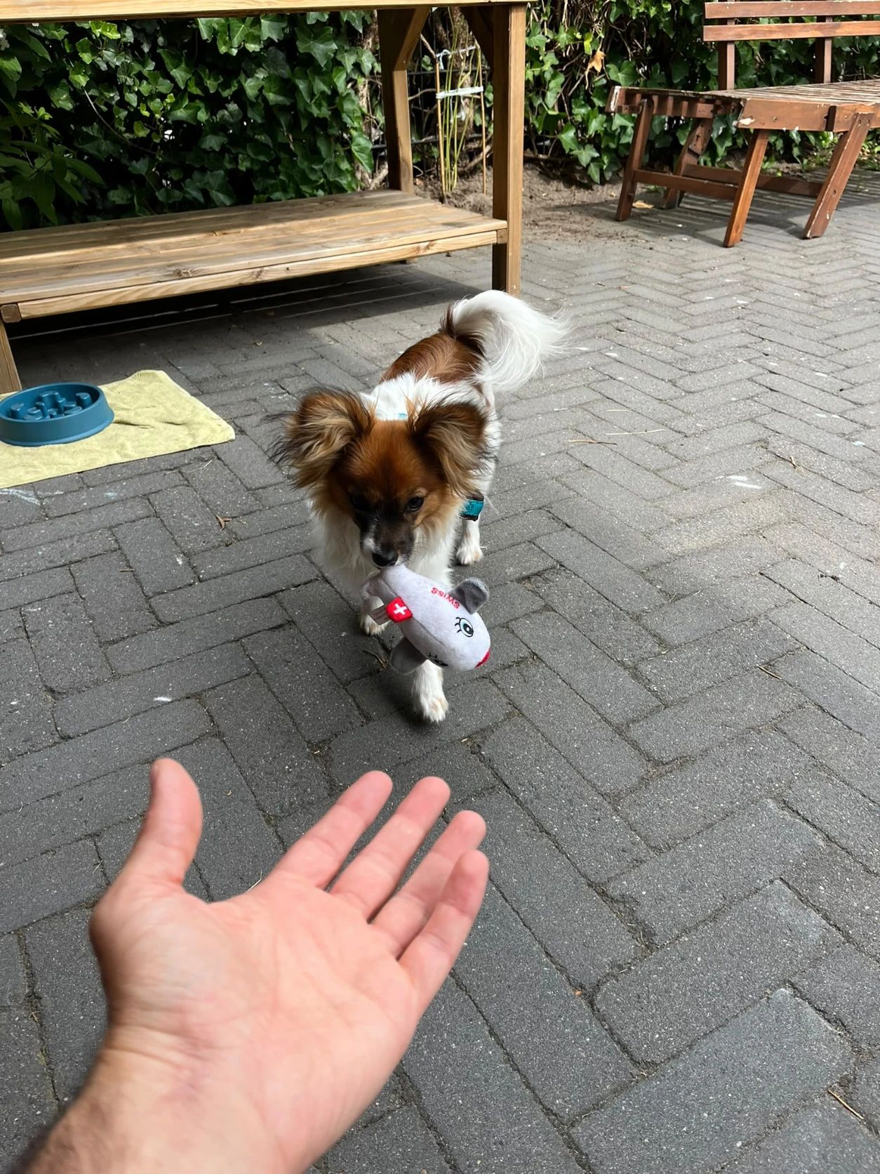 image-19