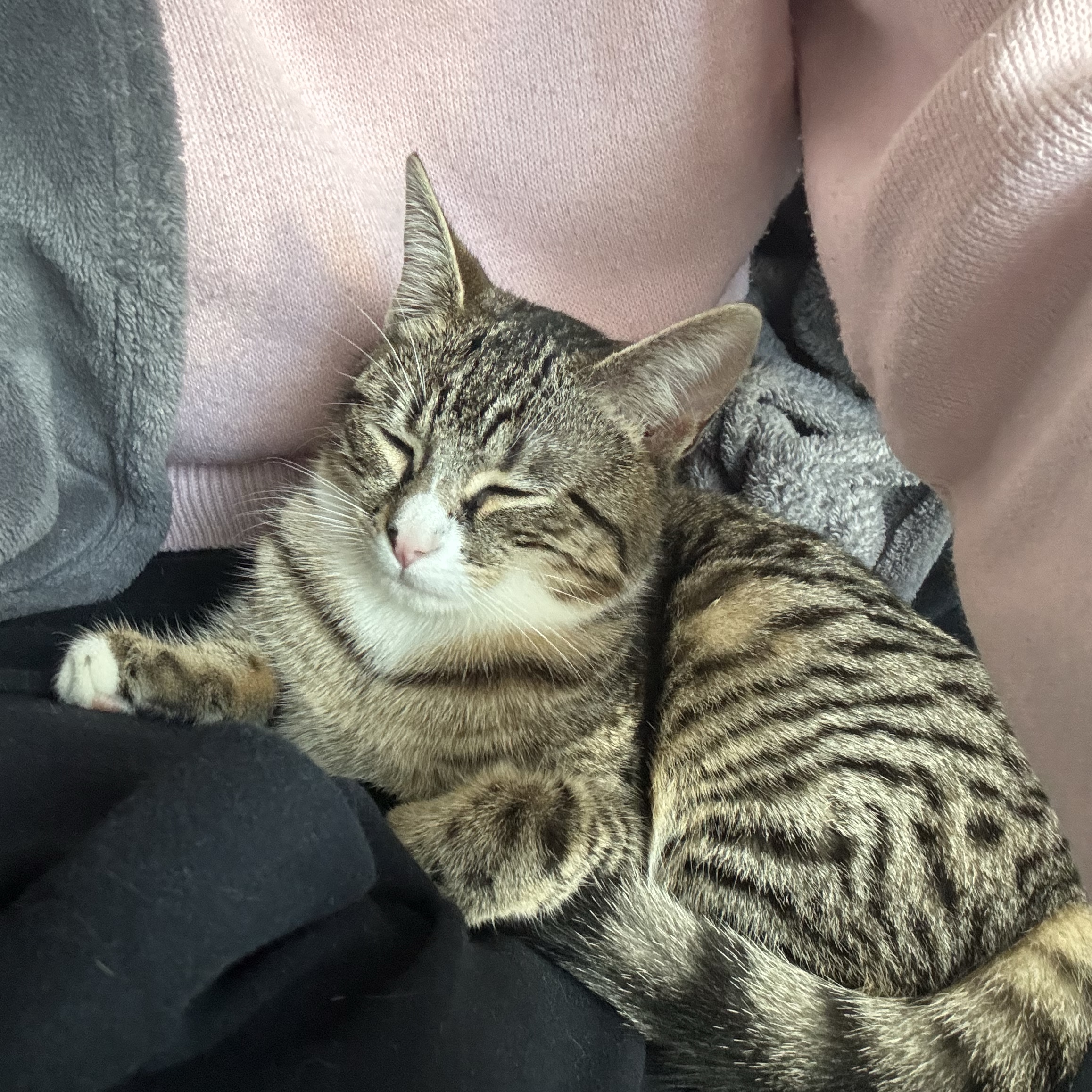 Luna