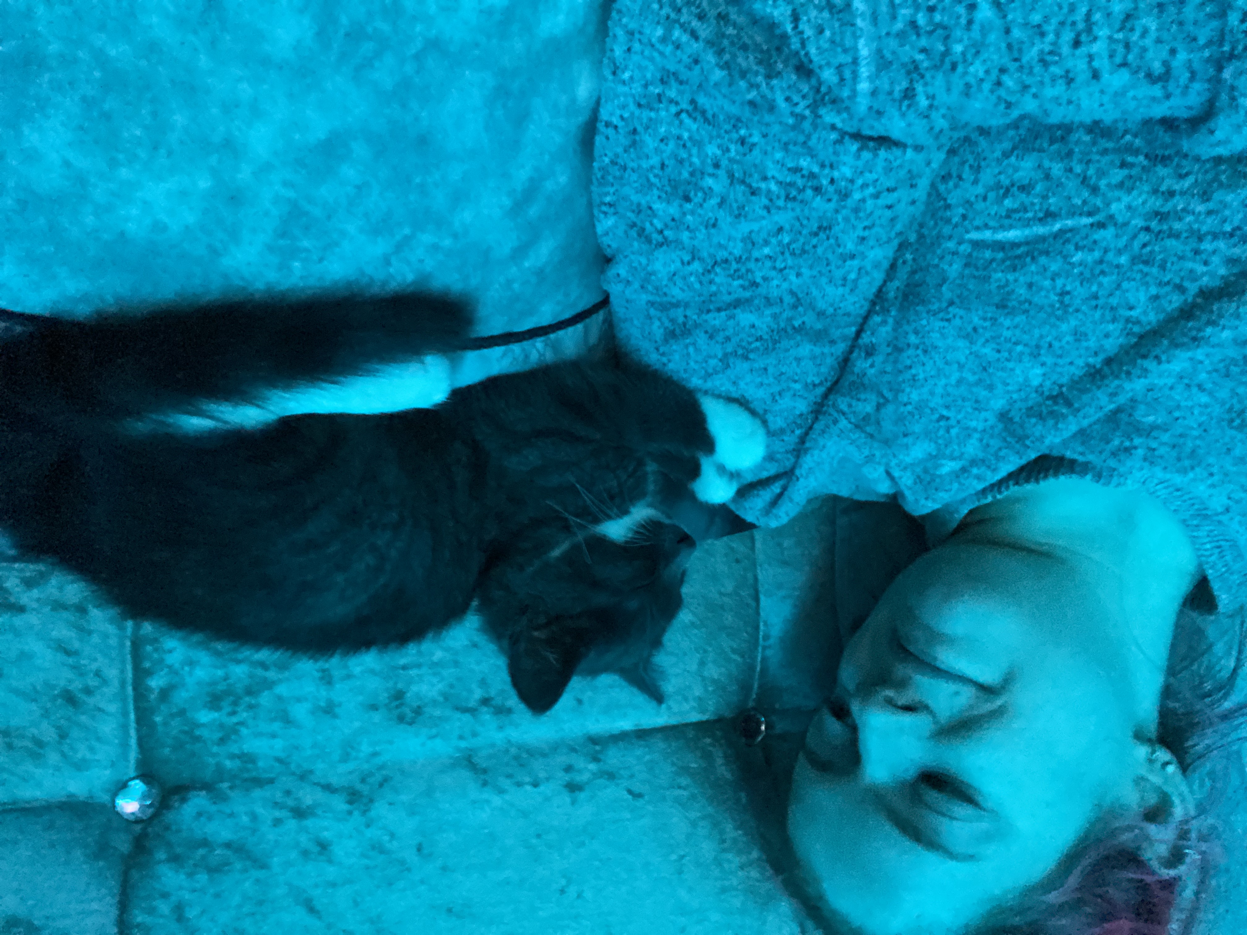 image-7
