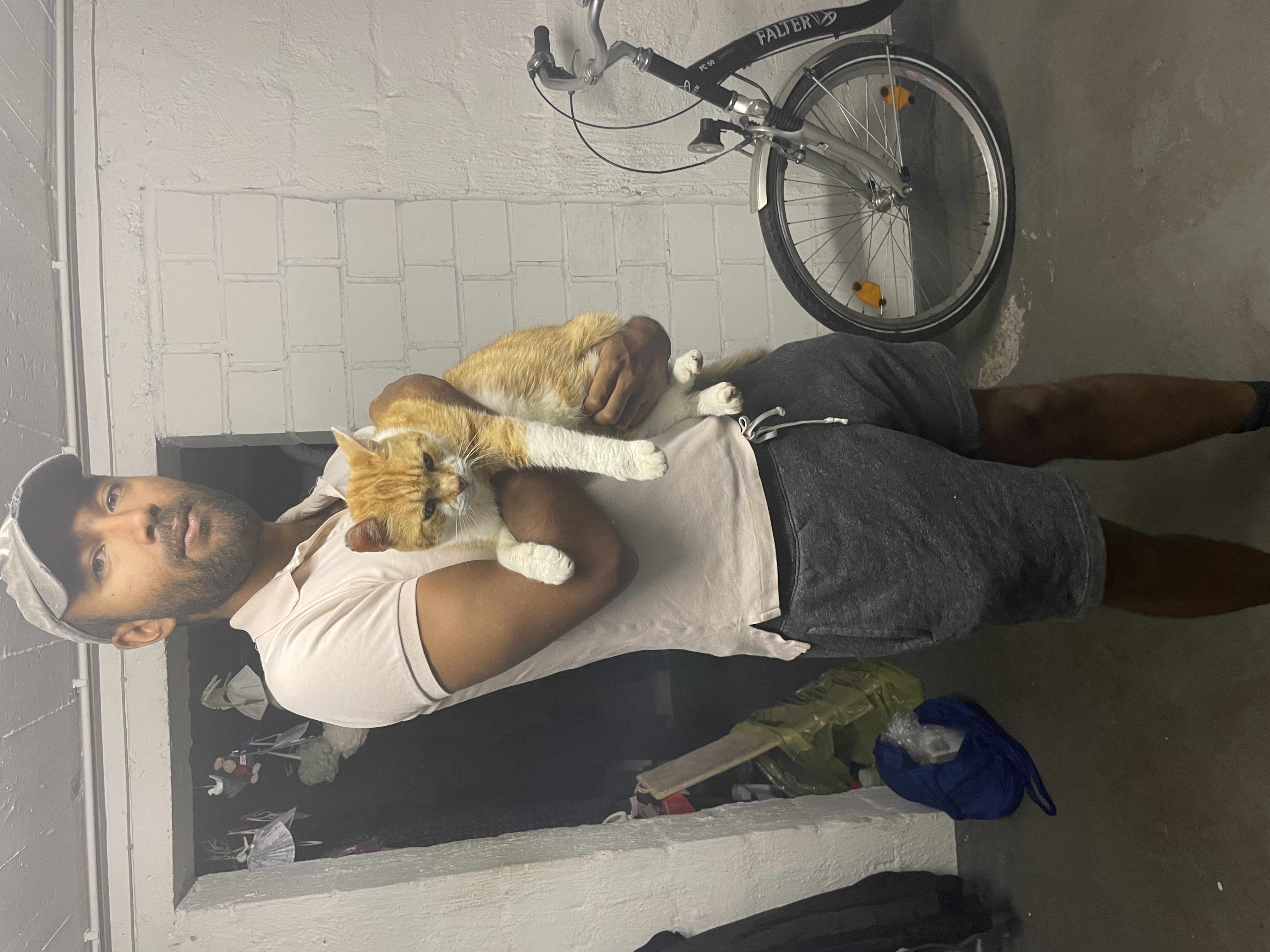 image-2