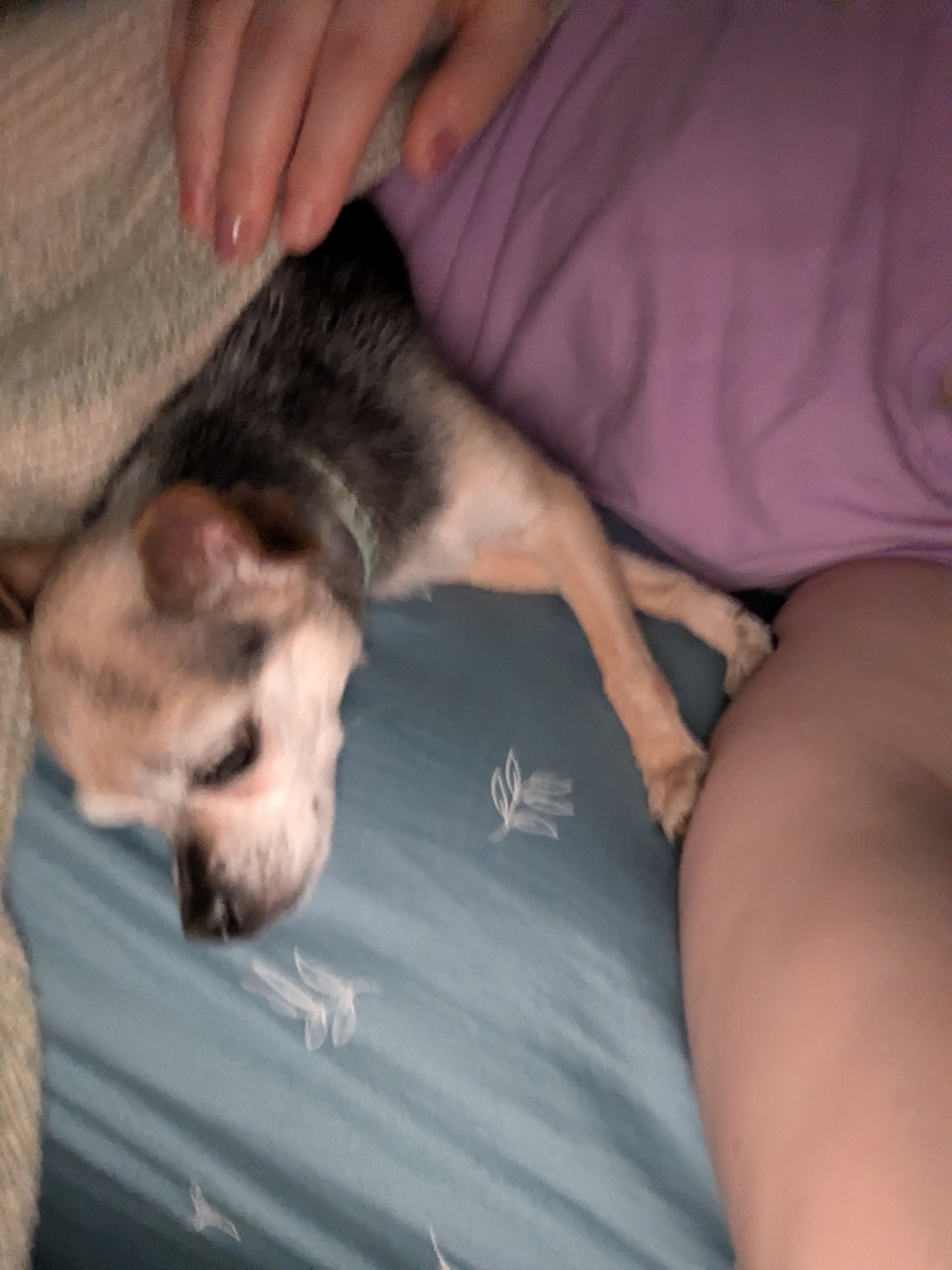 image-6