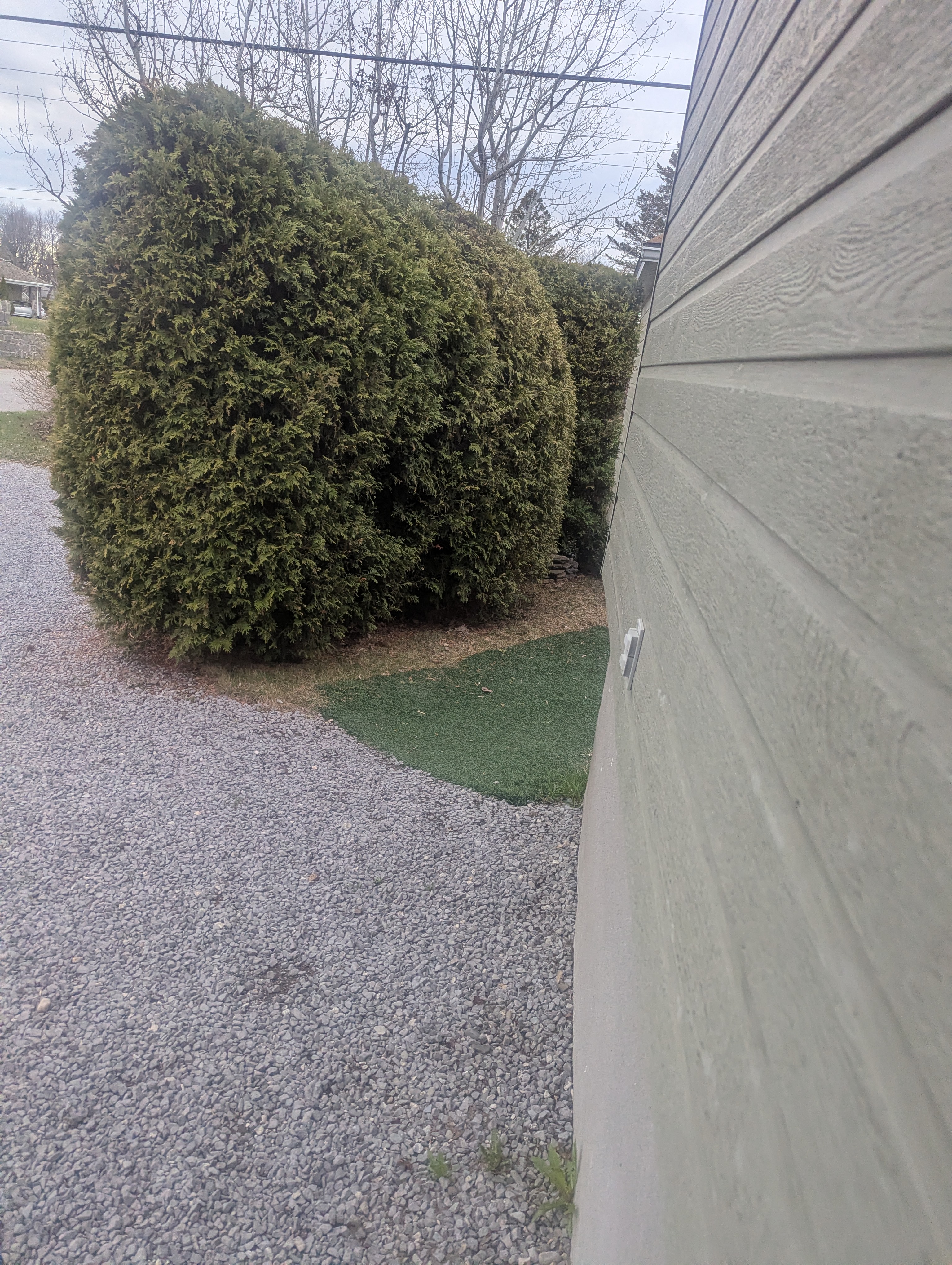 image-14