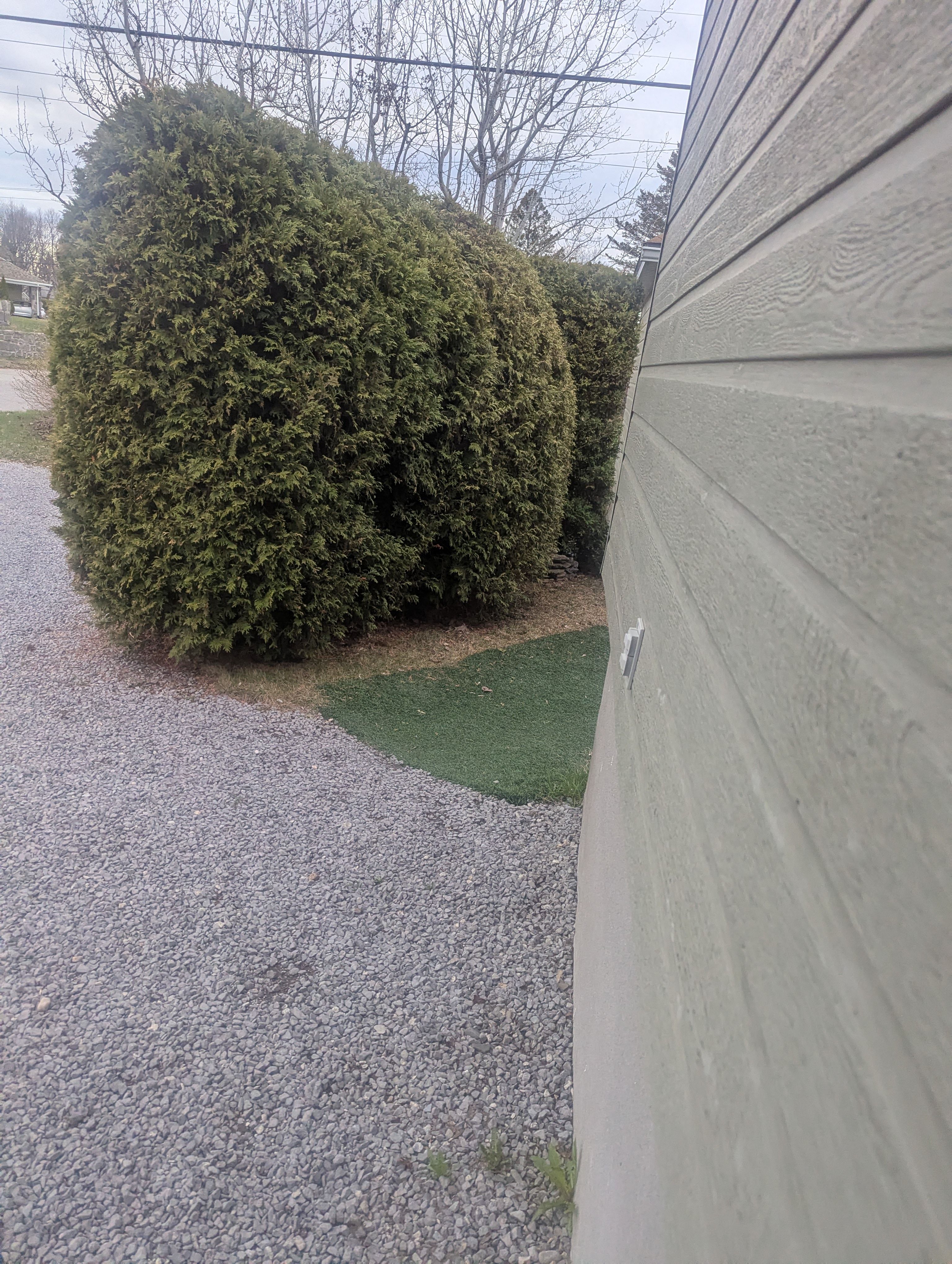 image-14
