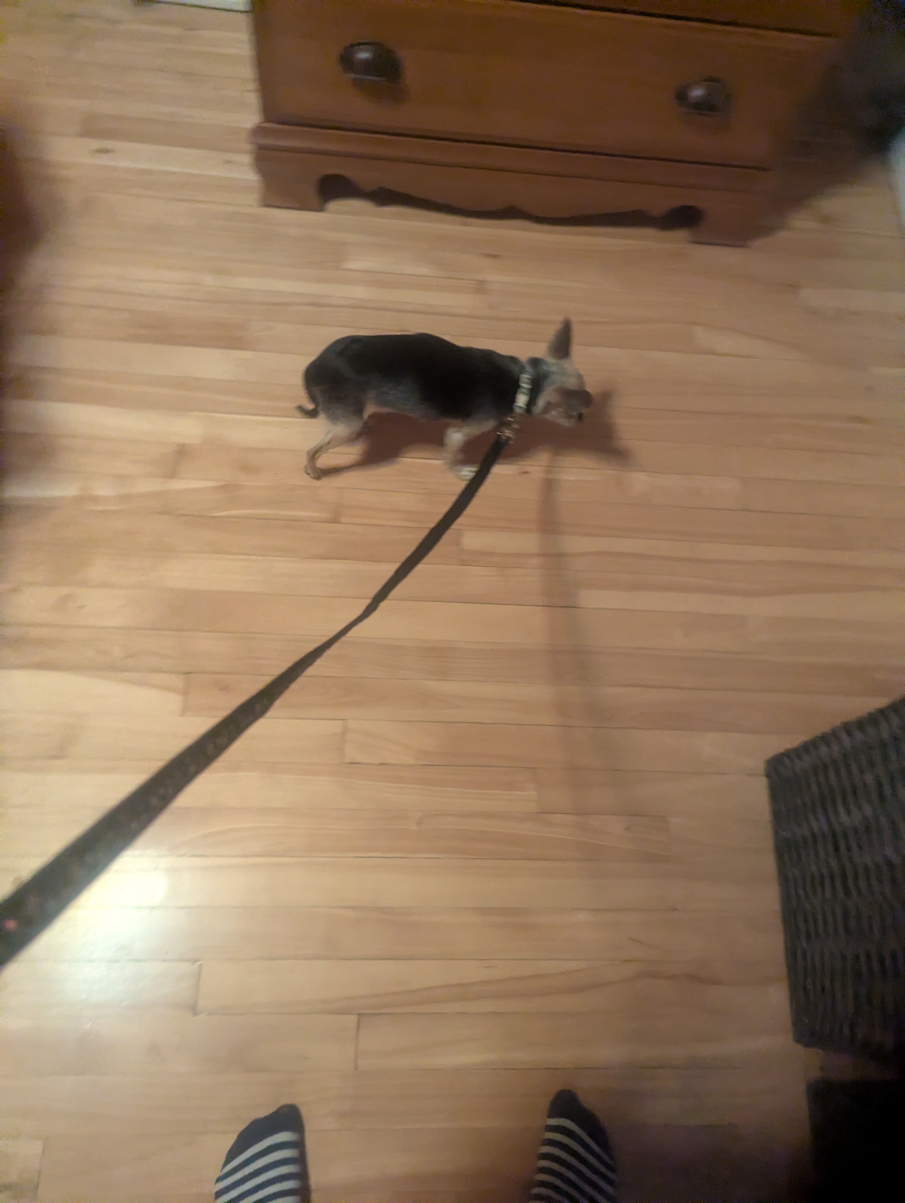 image-4