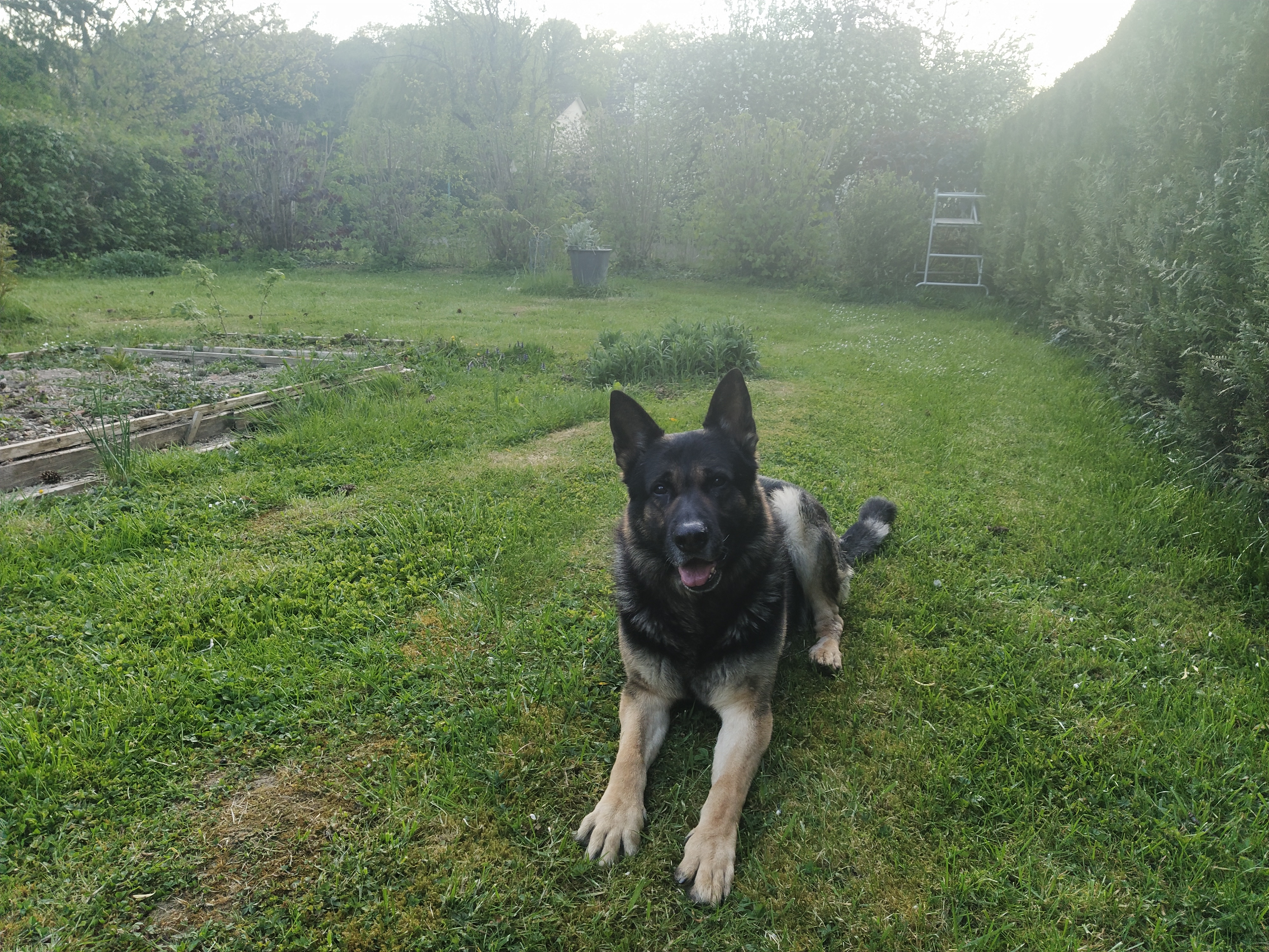 image-6