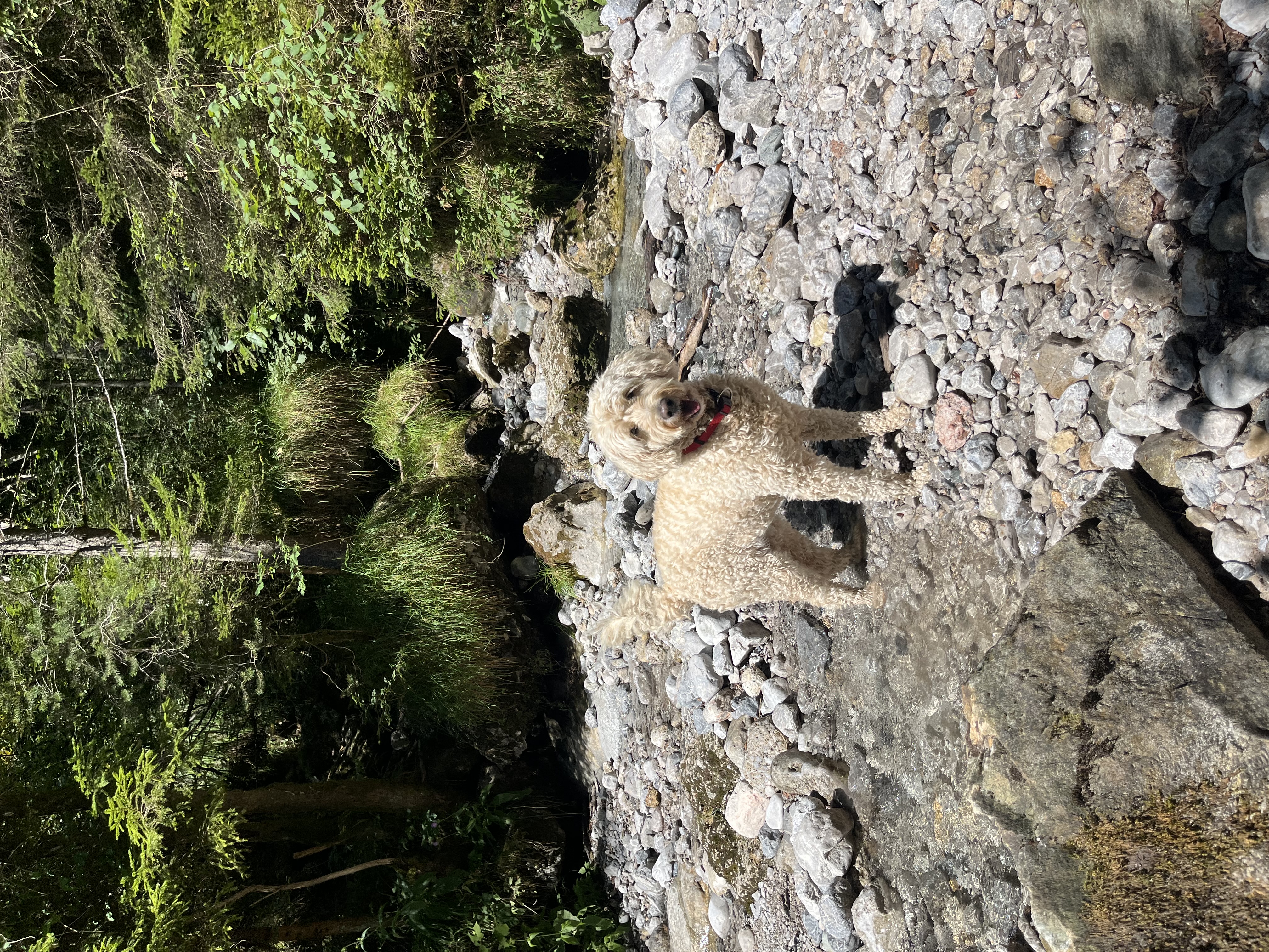 image-8