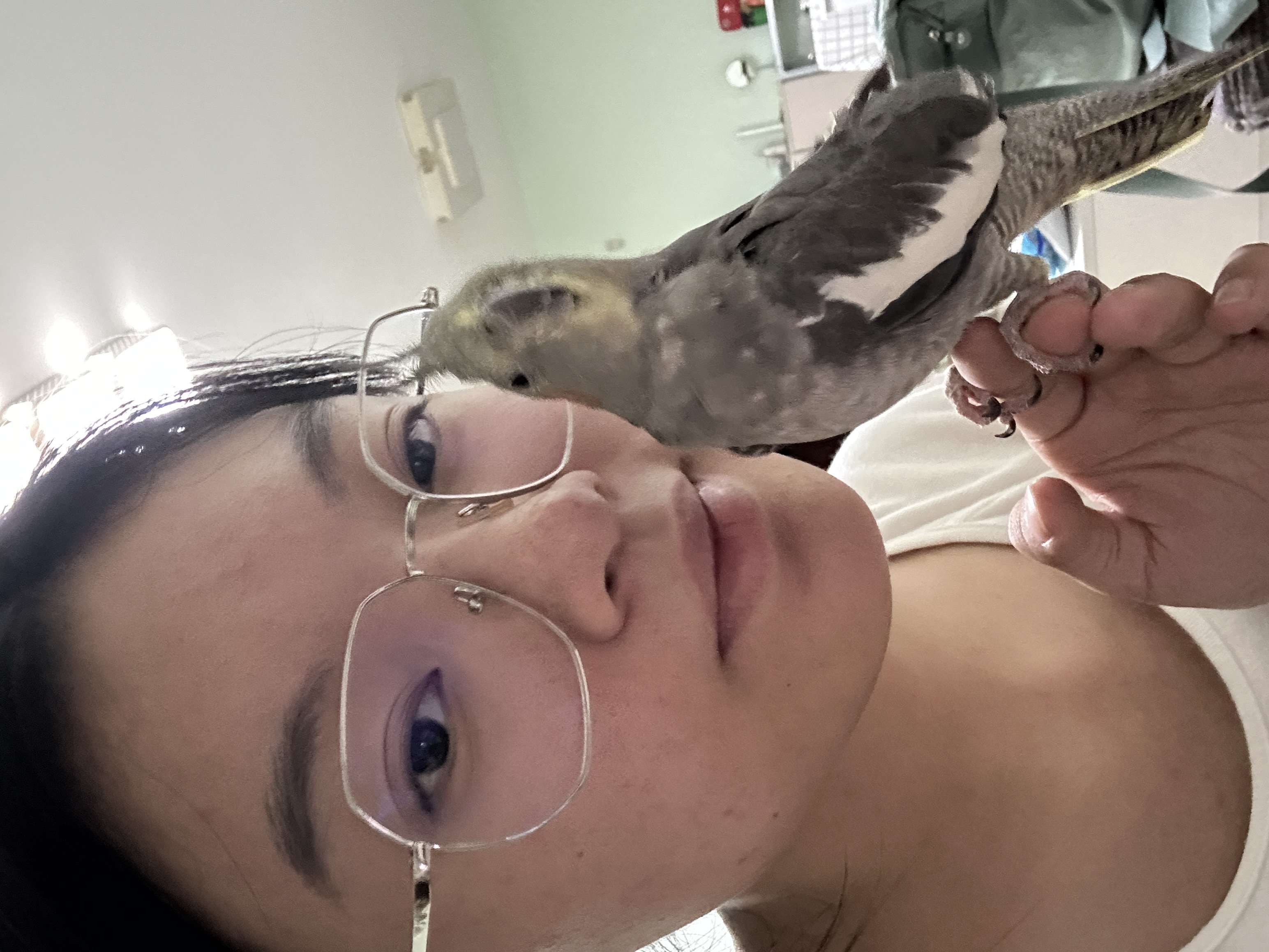 image-8