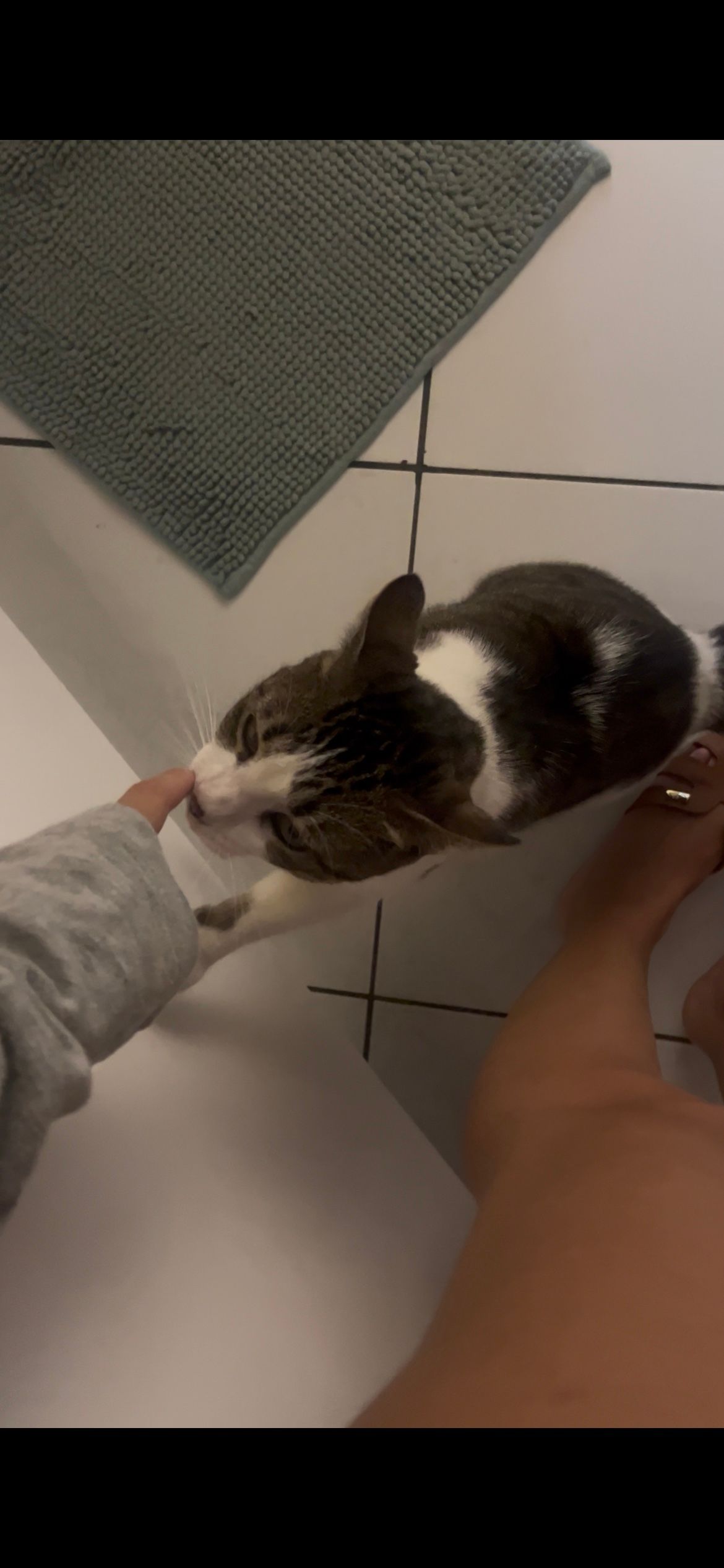 image-9