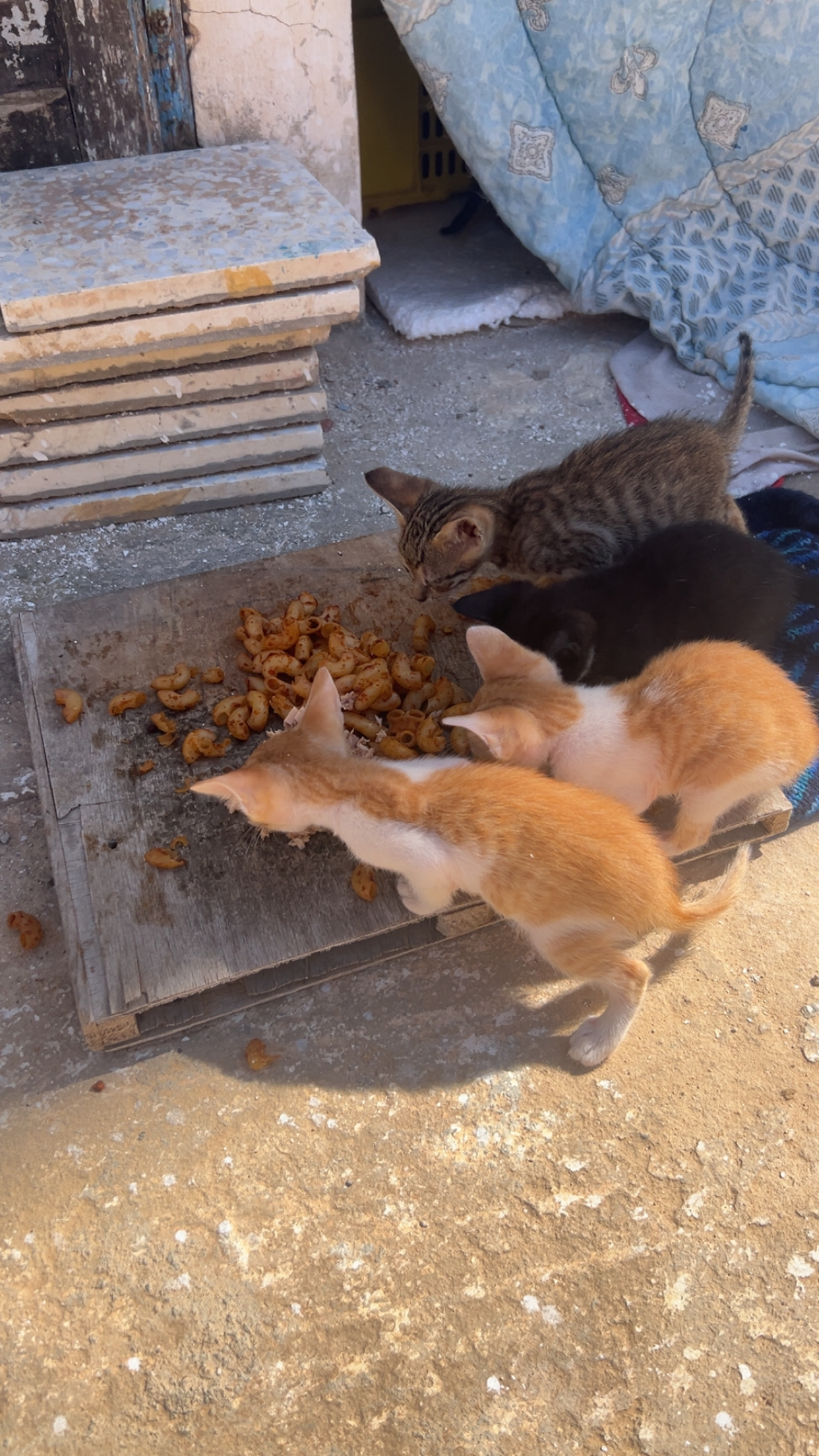 image-7