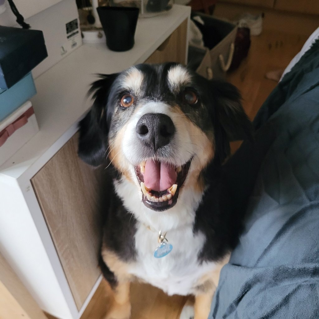 Coco