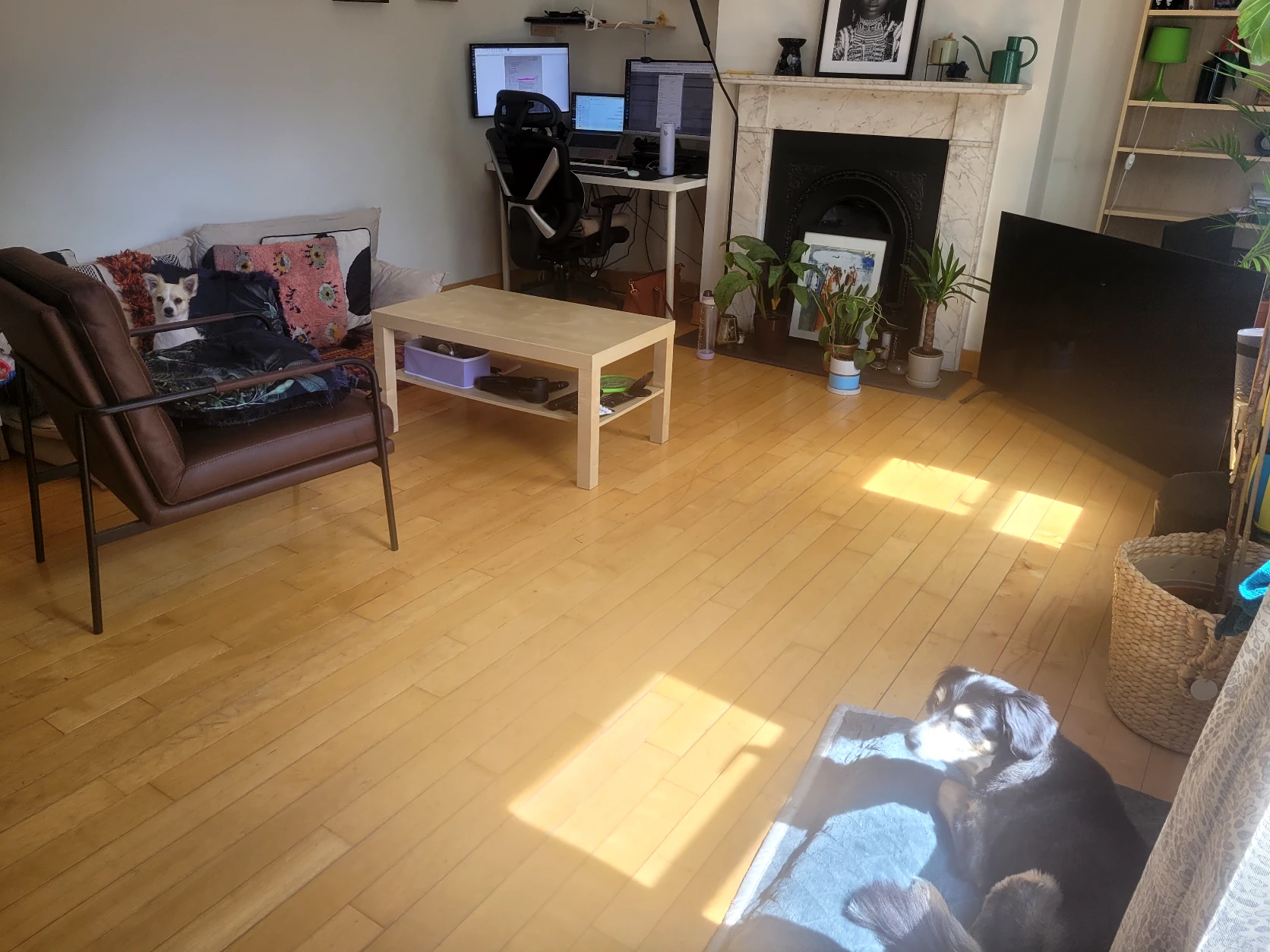 image-13