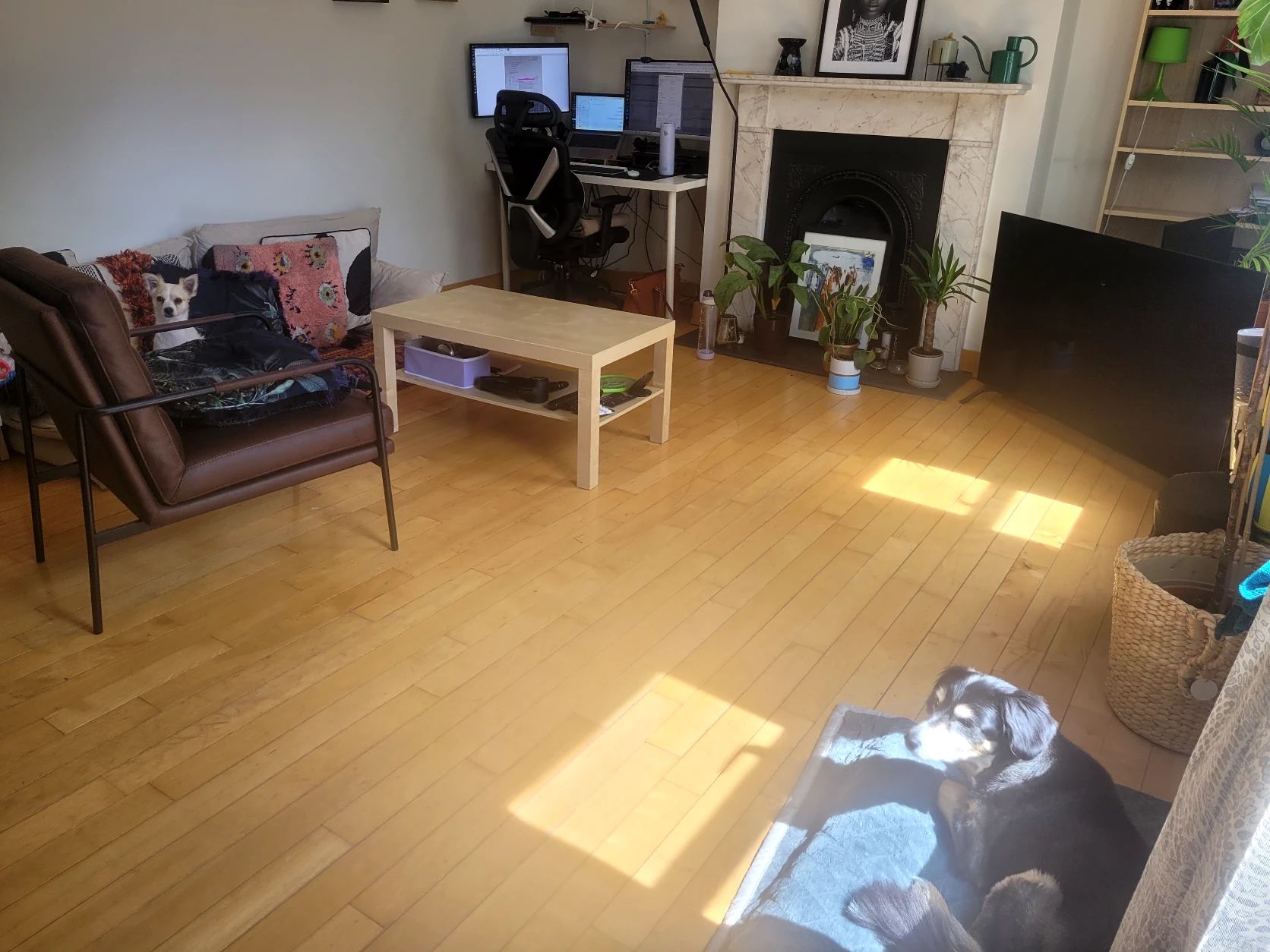 image-13