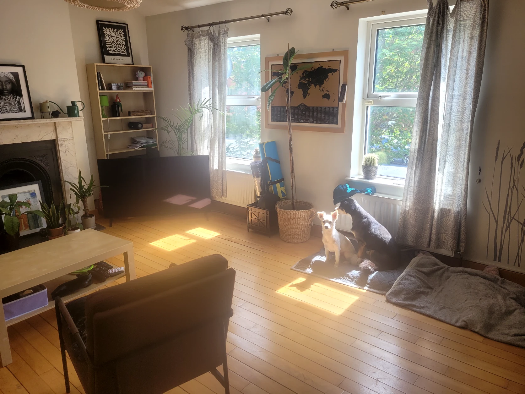 image-14