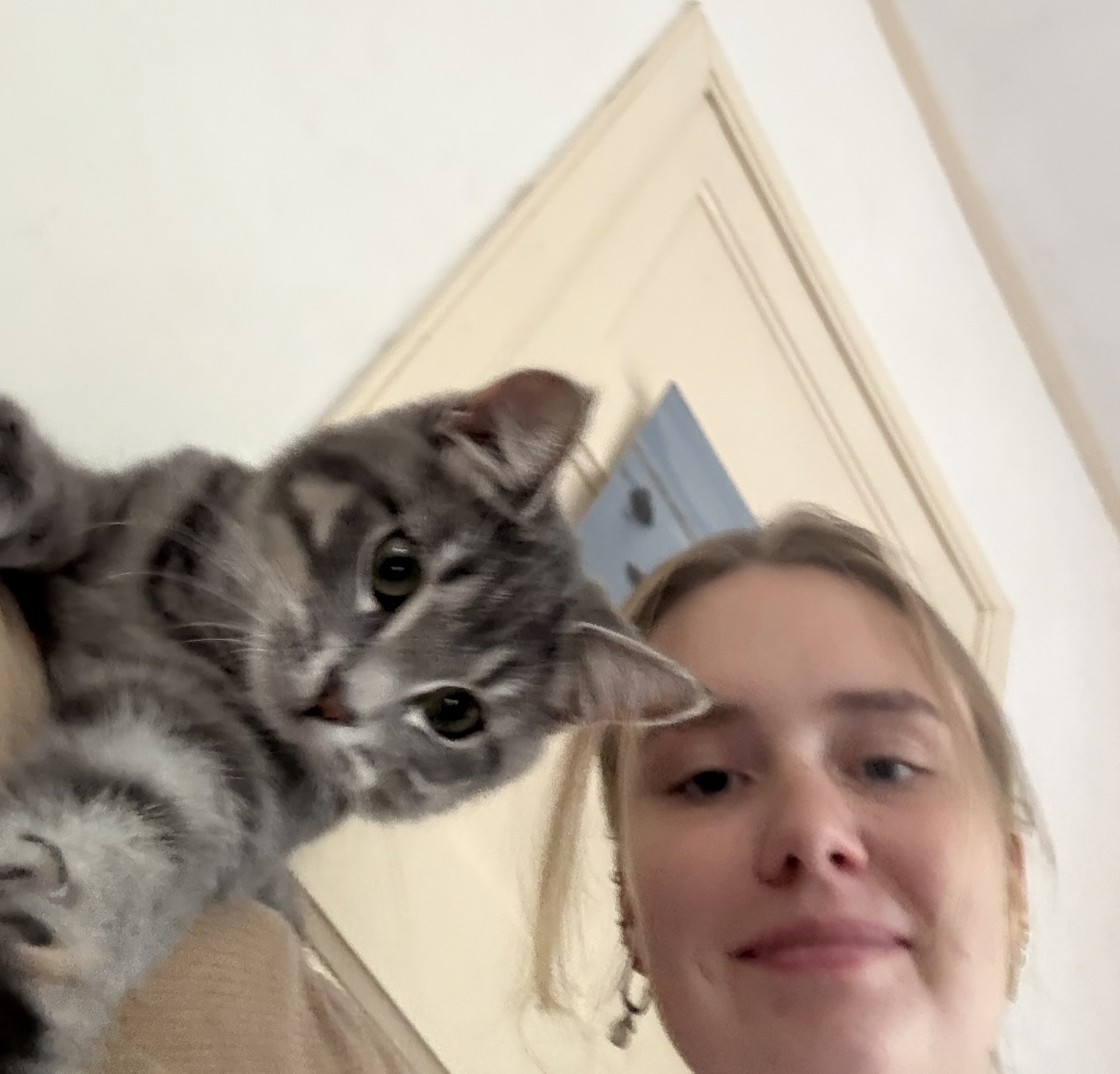 image-14
