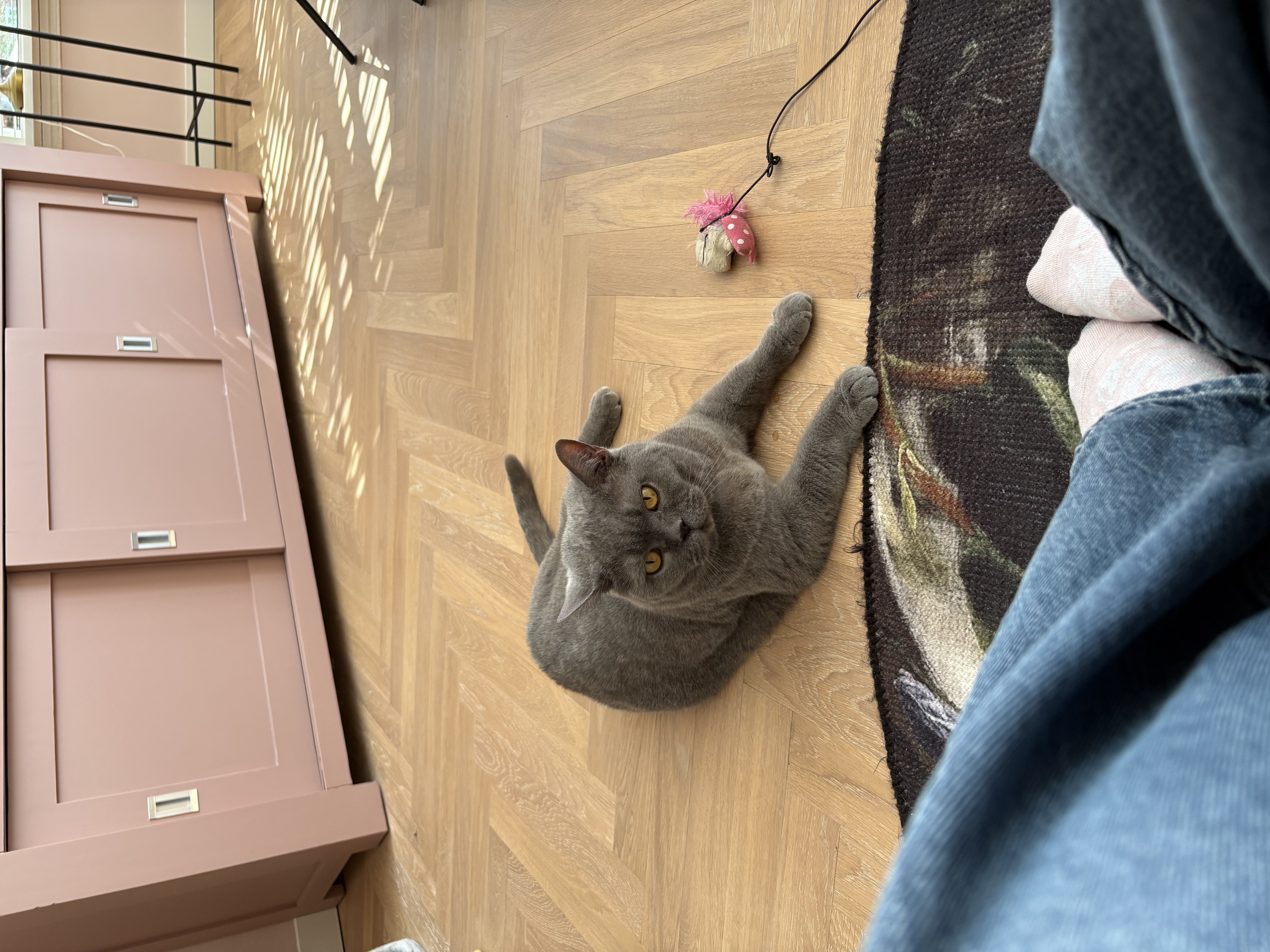 image-11