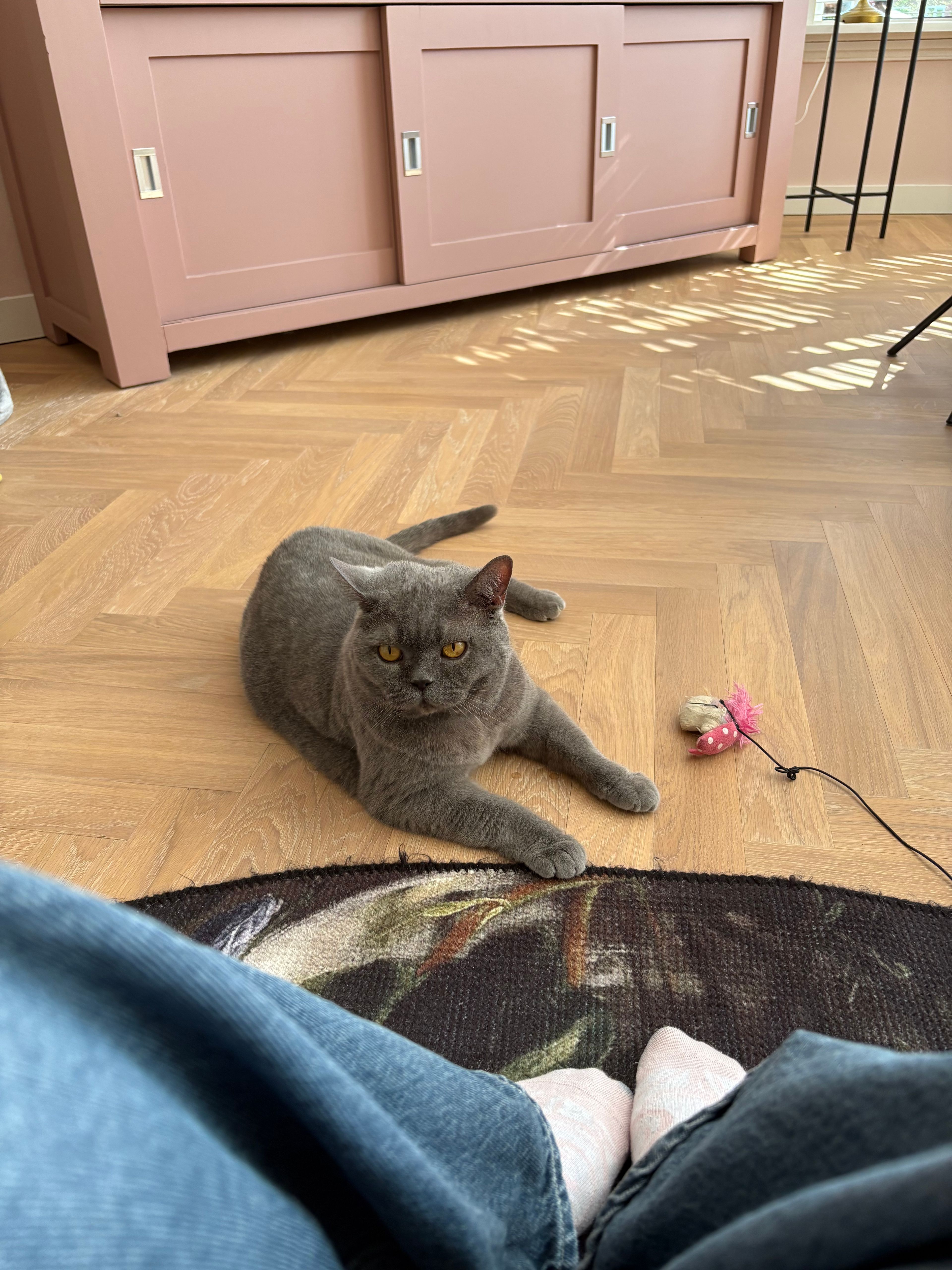 image-11