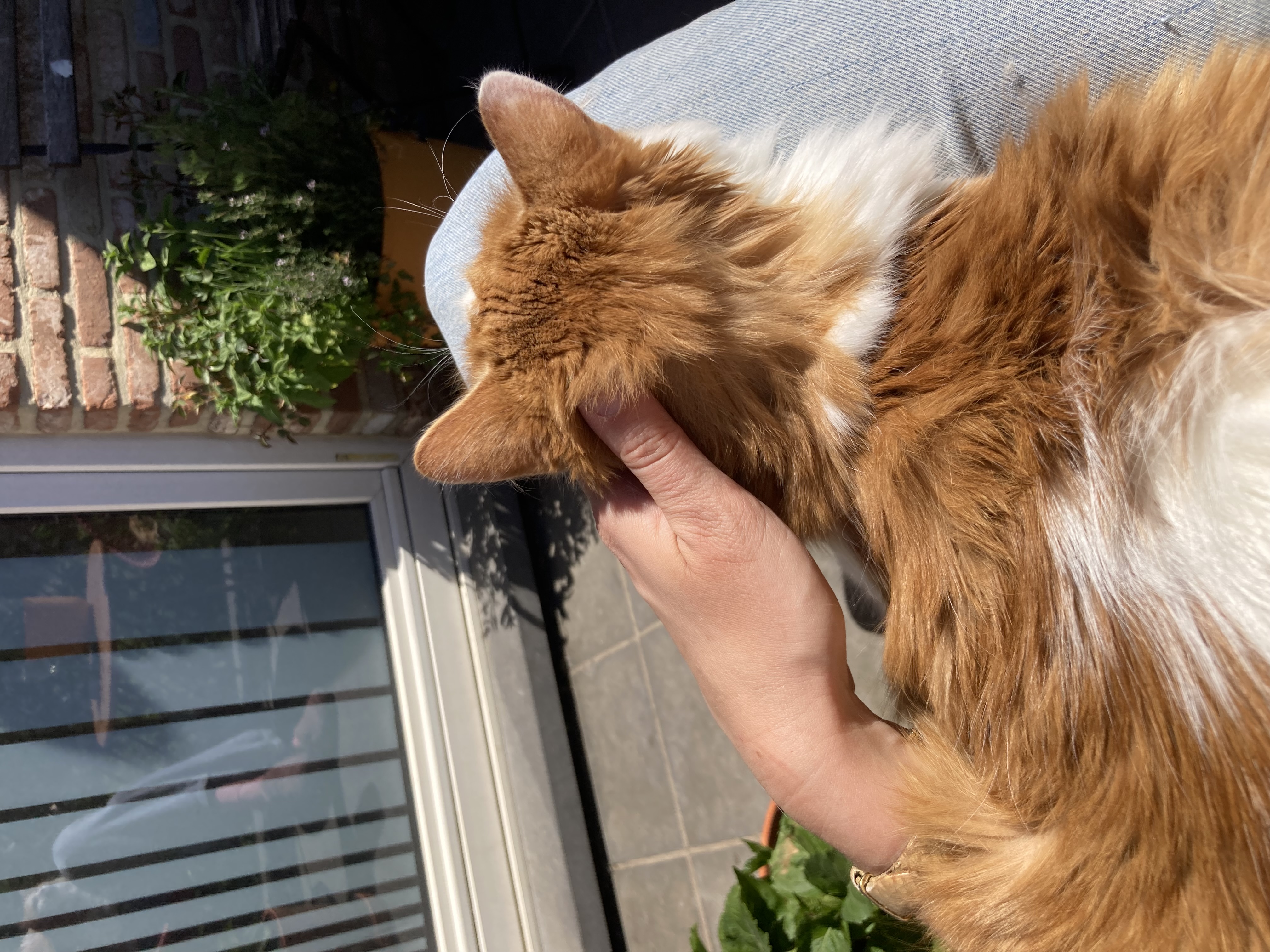 image-6