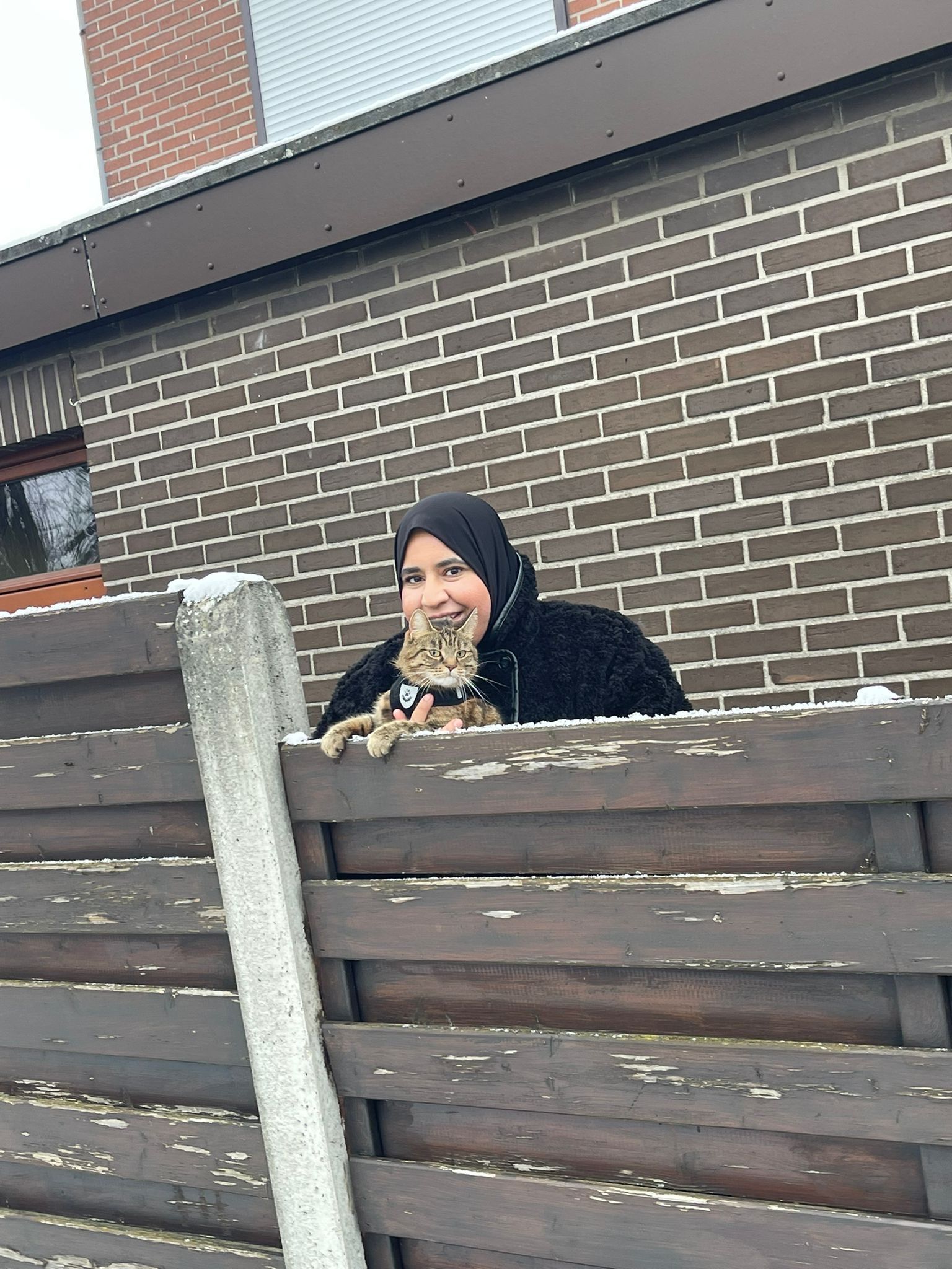 image-3