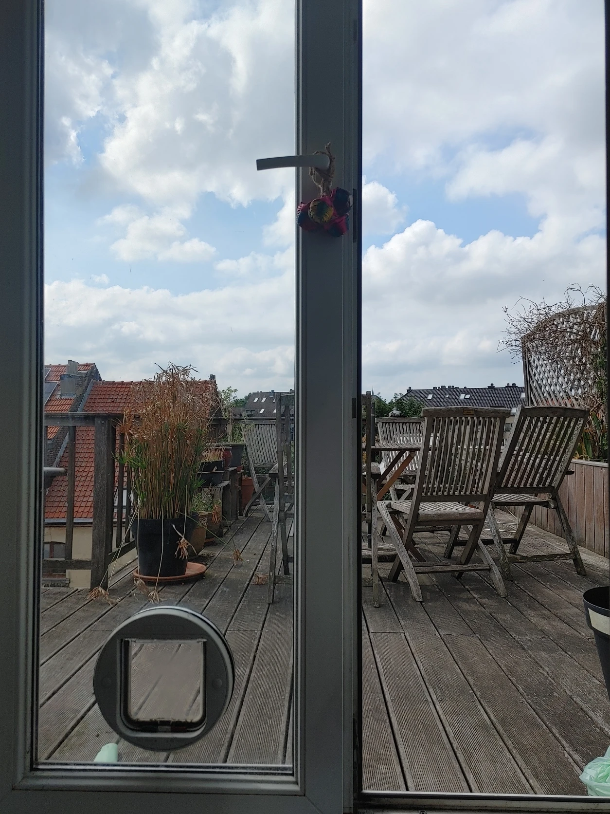 image-15