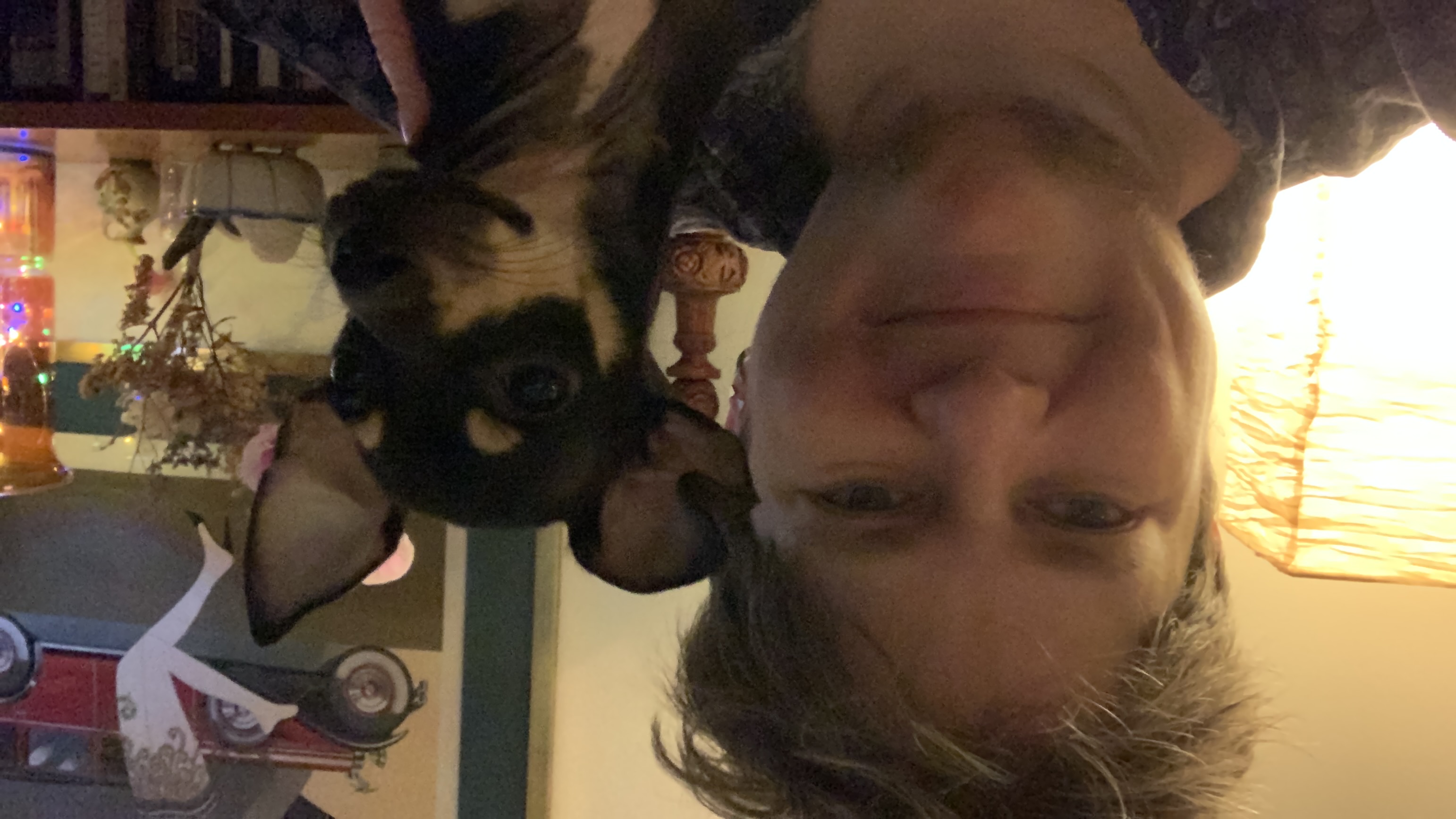 image-7