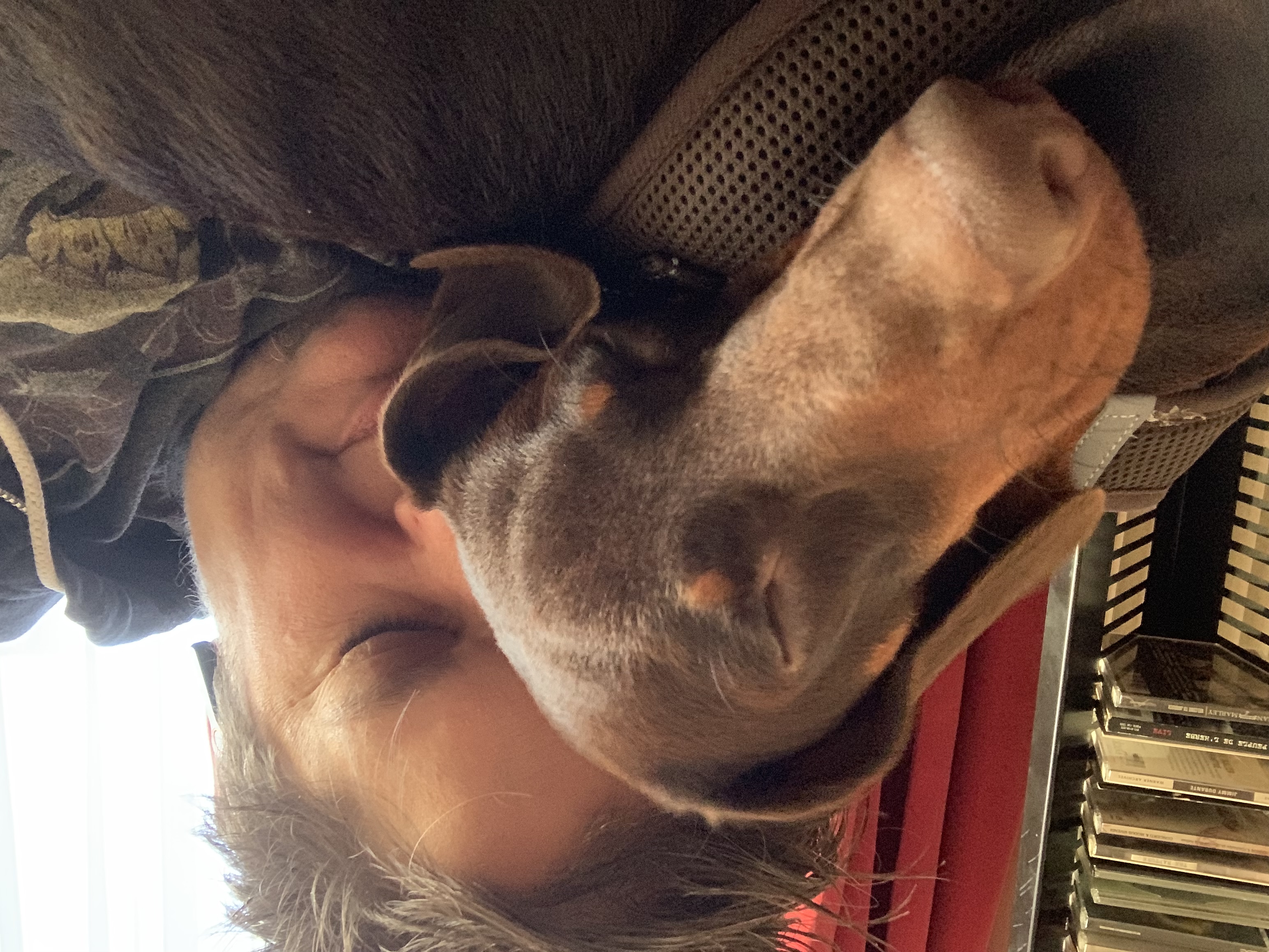 image-3