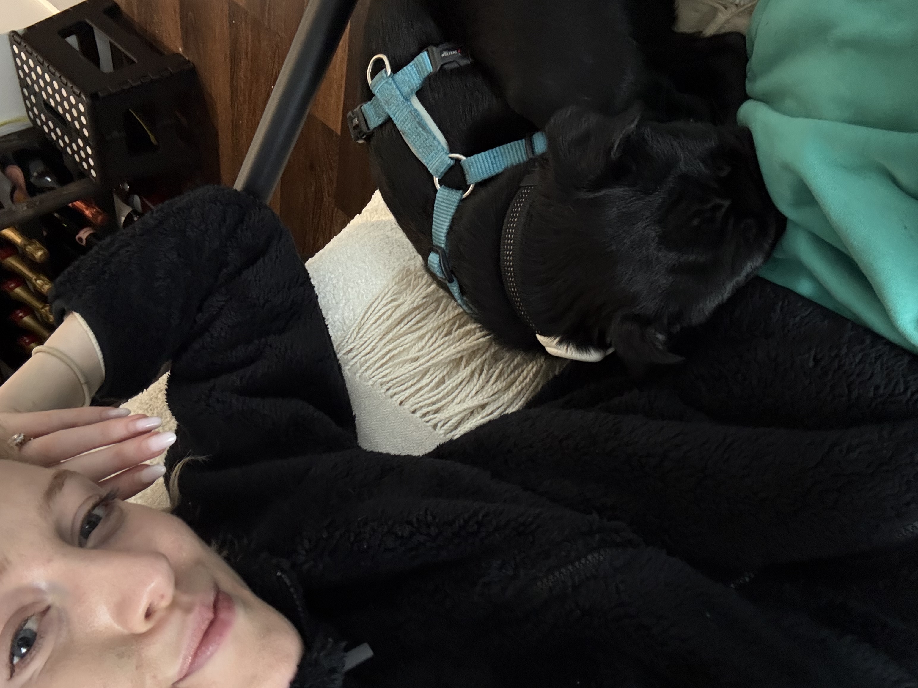 image-12