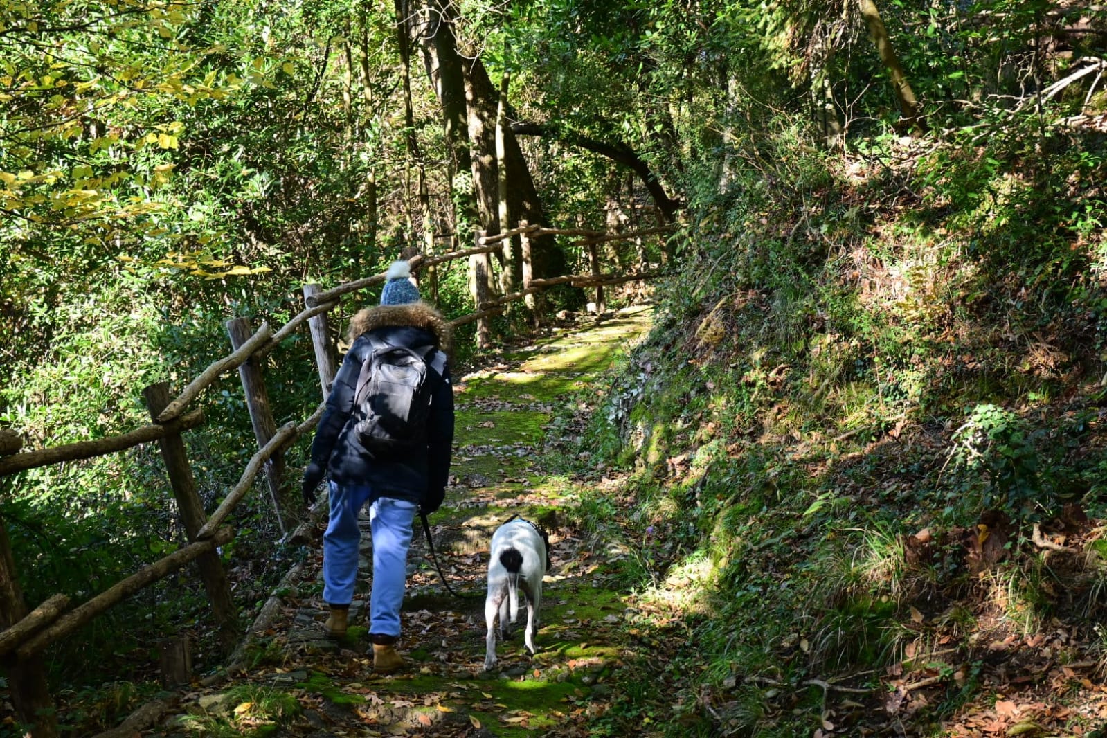 image-1