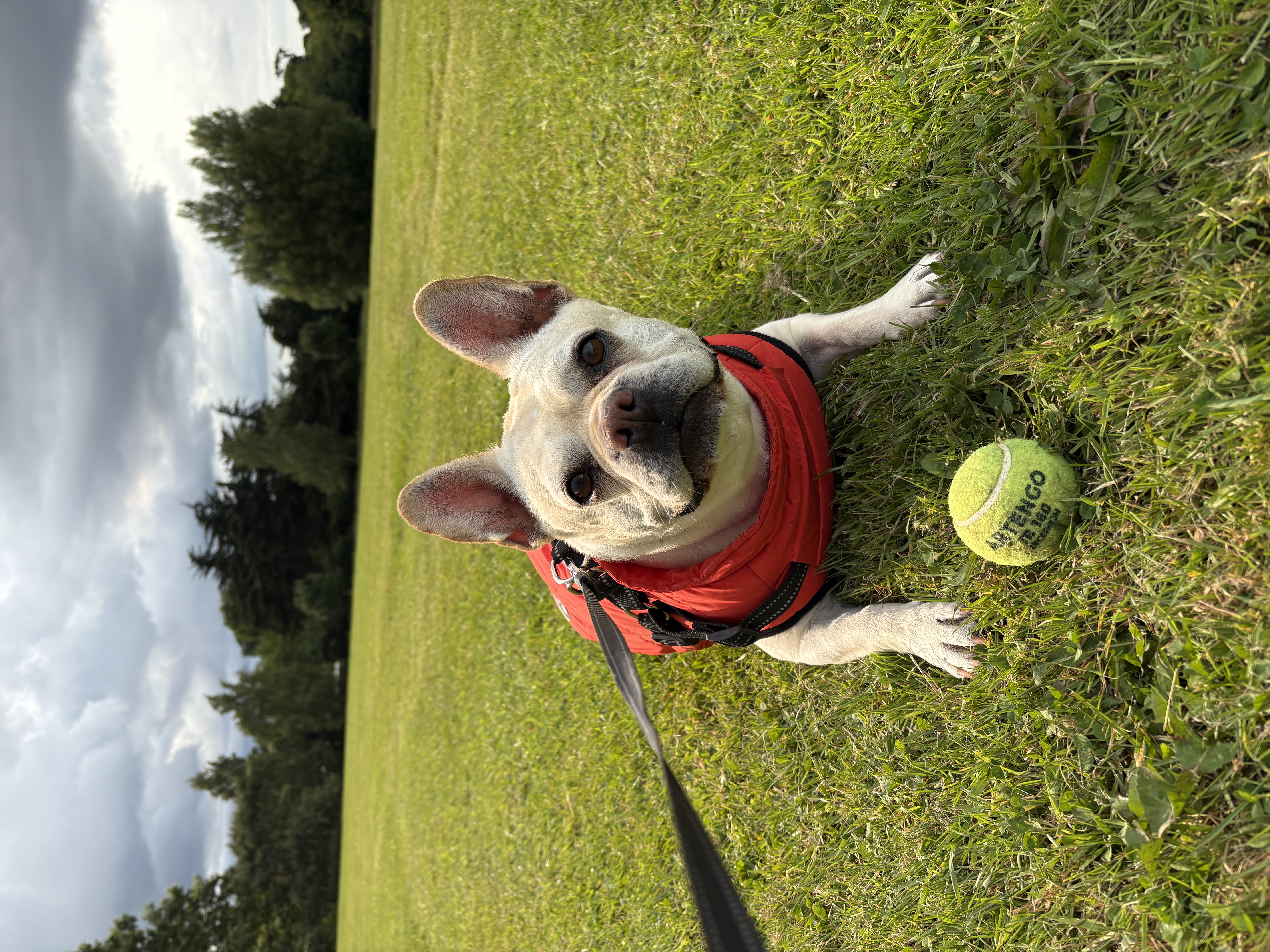 image-16