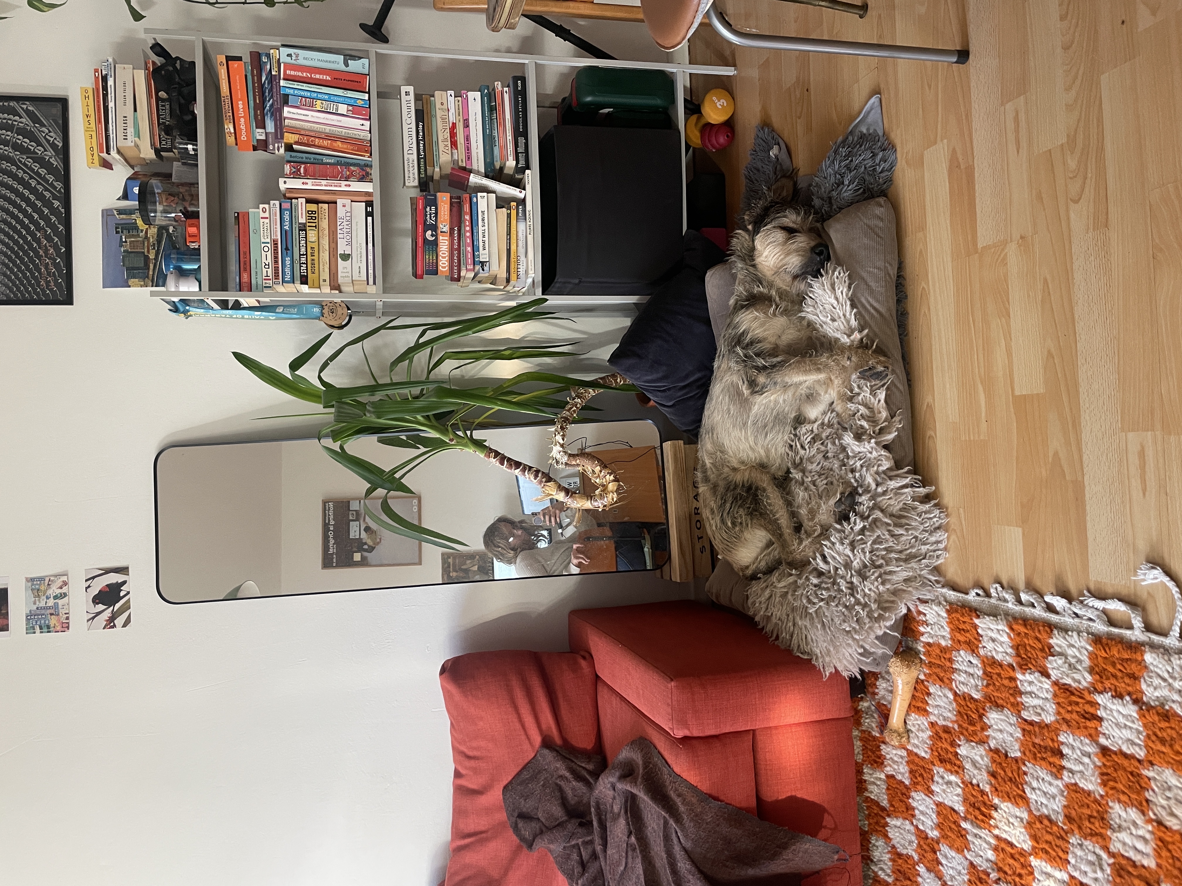 image-13