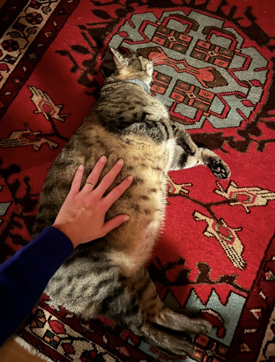 image-9