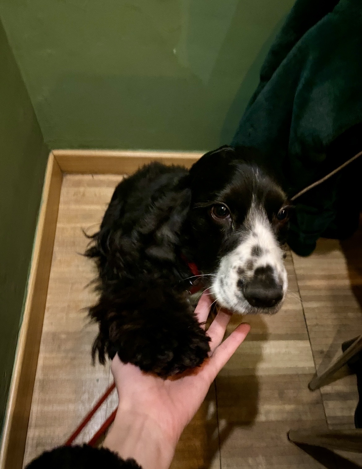 image-10