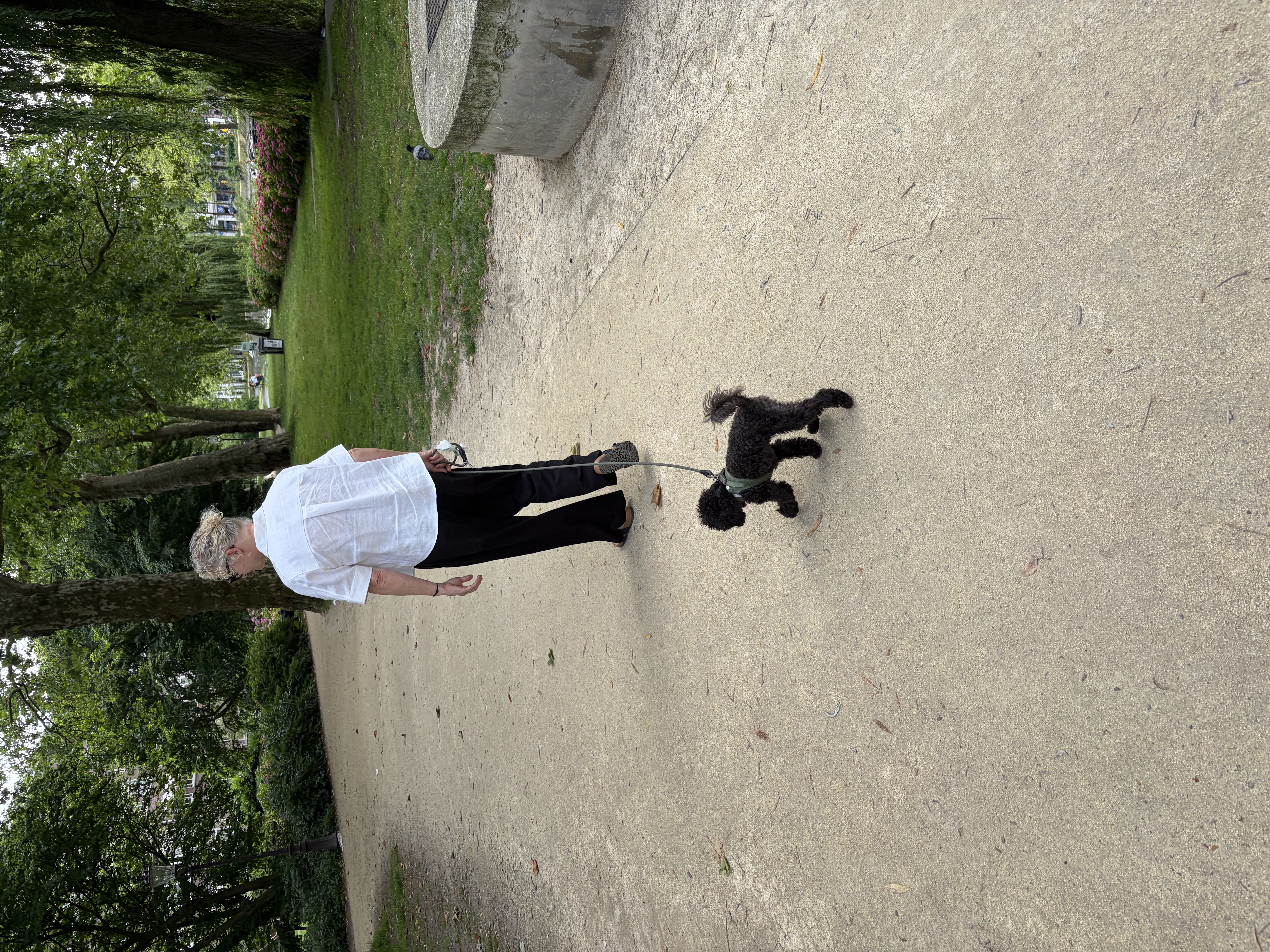 image-11
