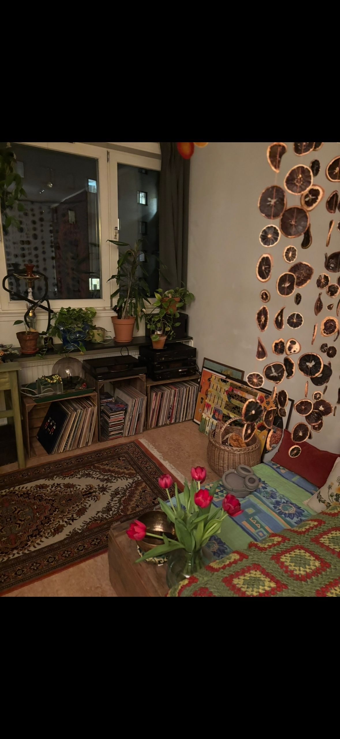 image-8