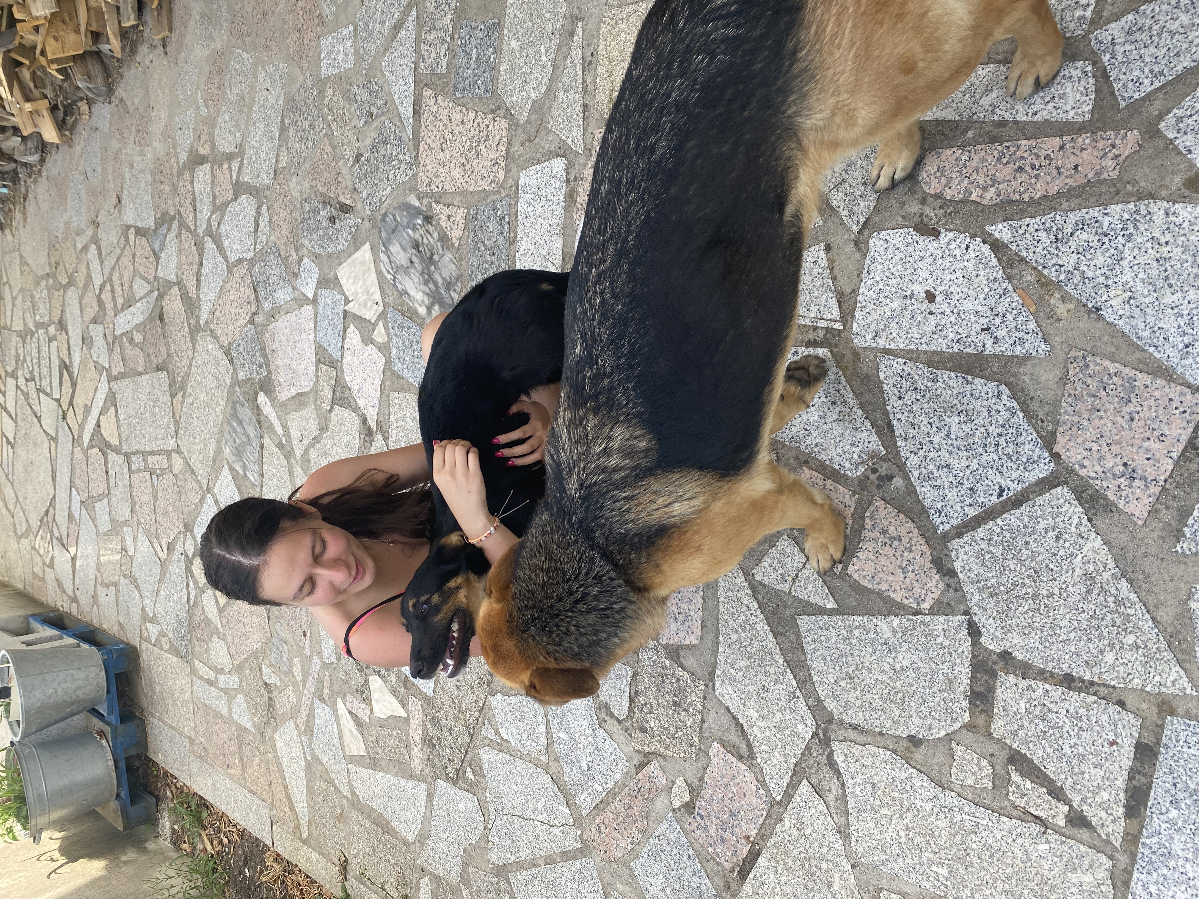 image-15