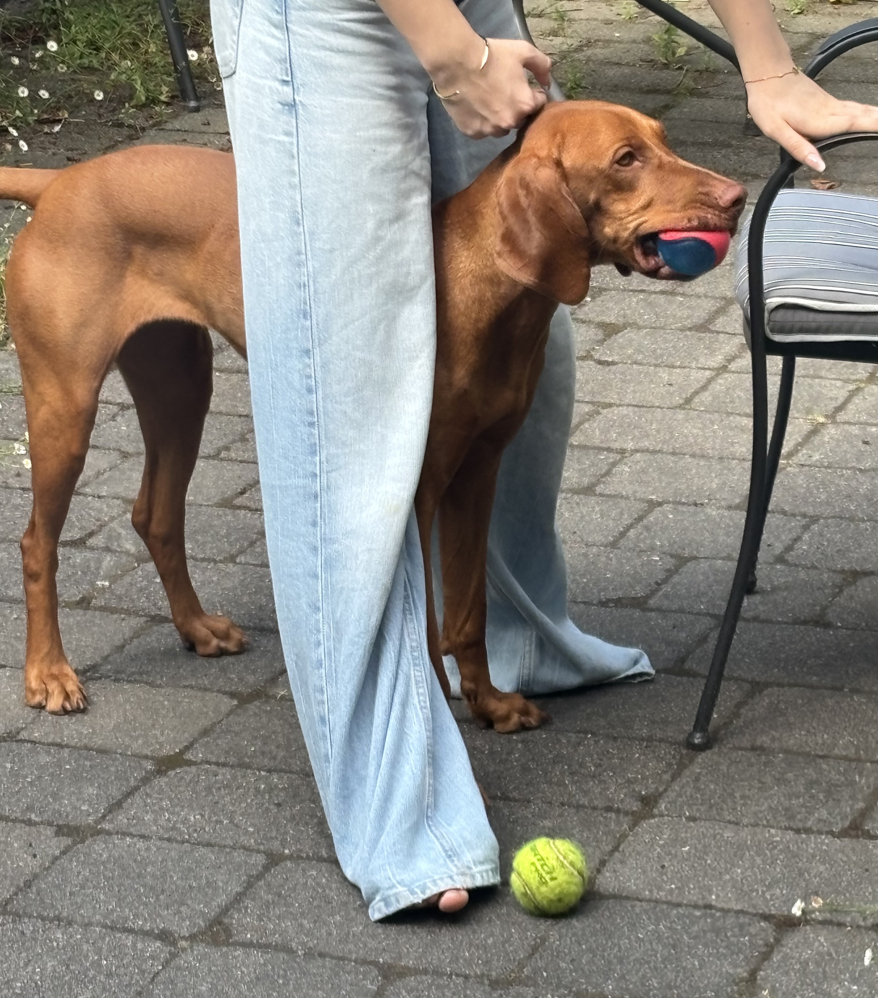 image-12