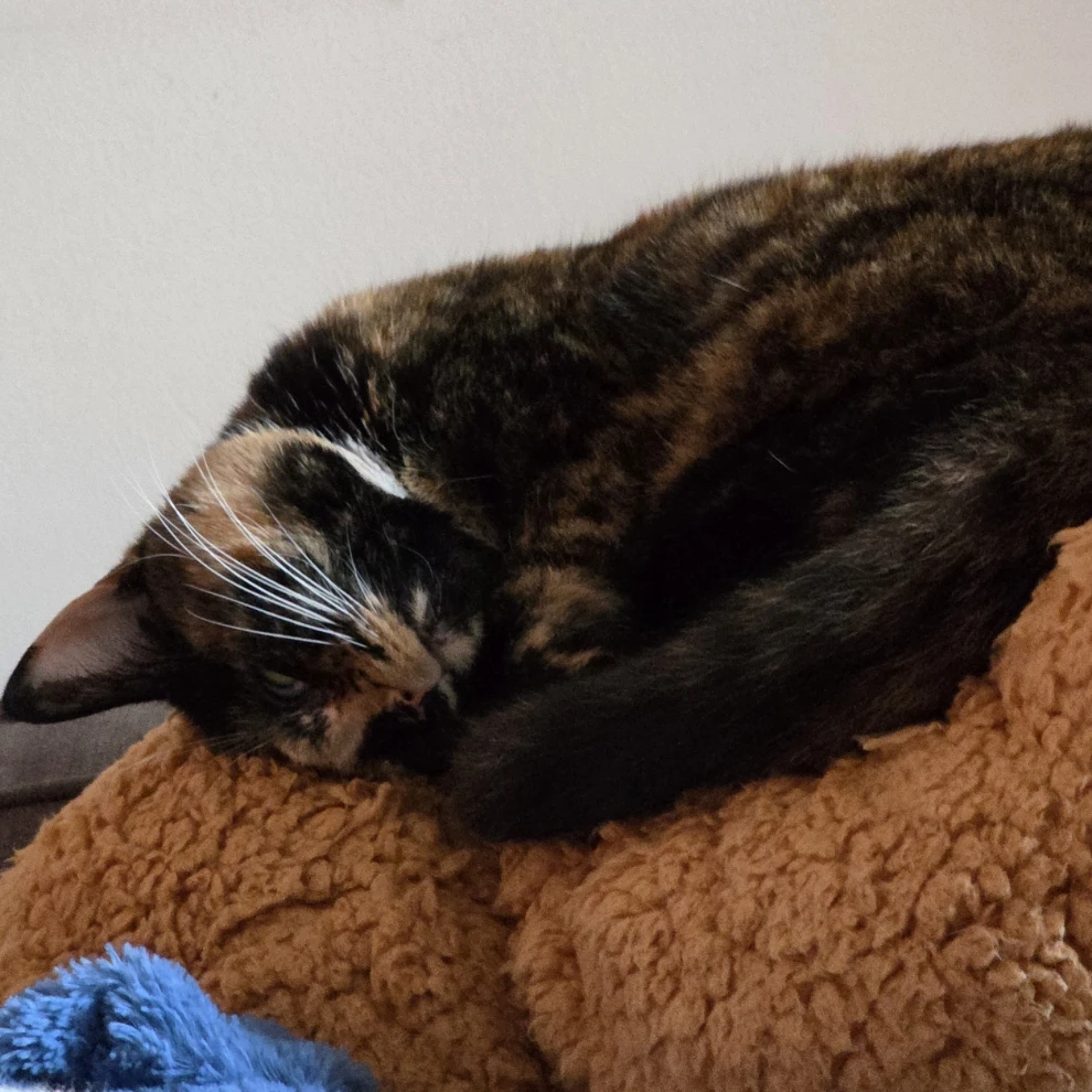 Delilah