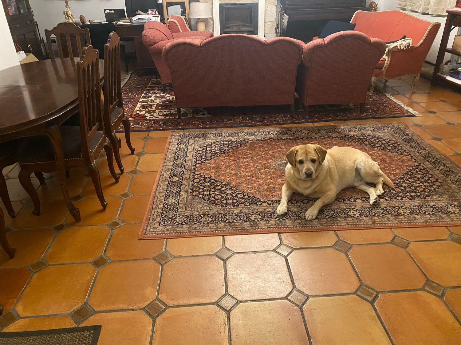 image-19