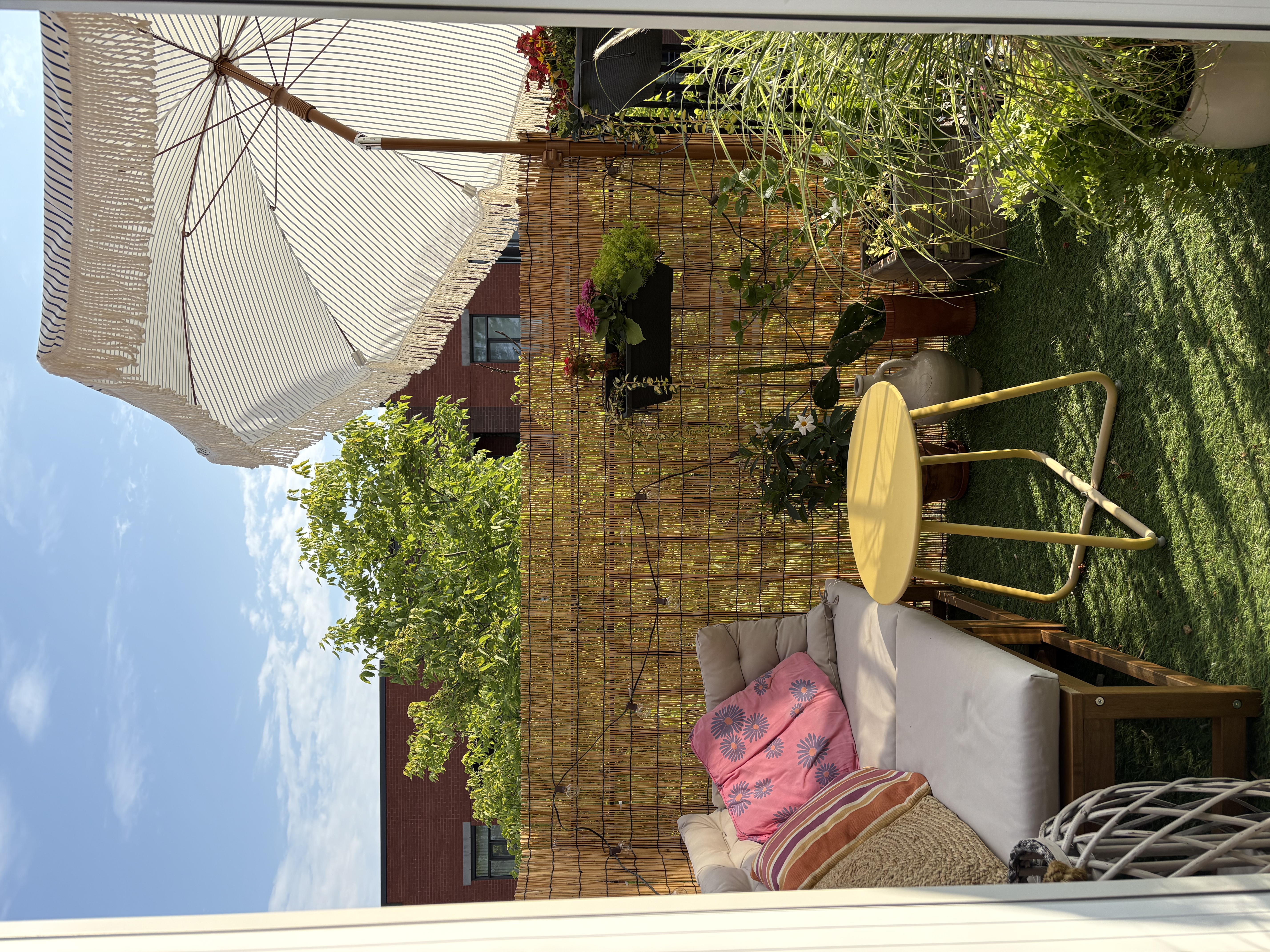 image-20