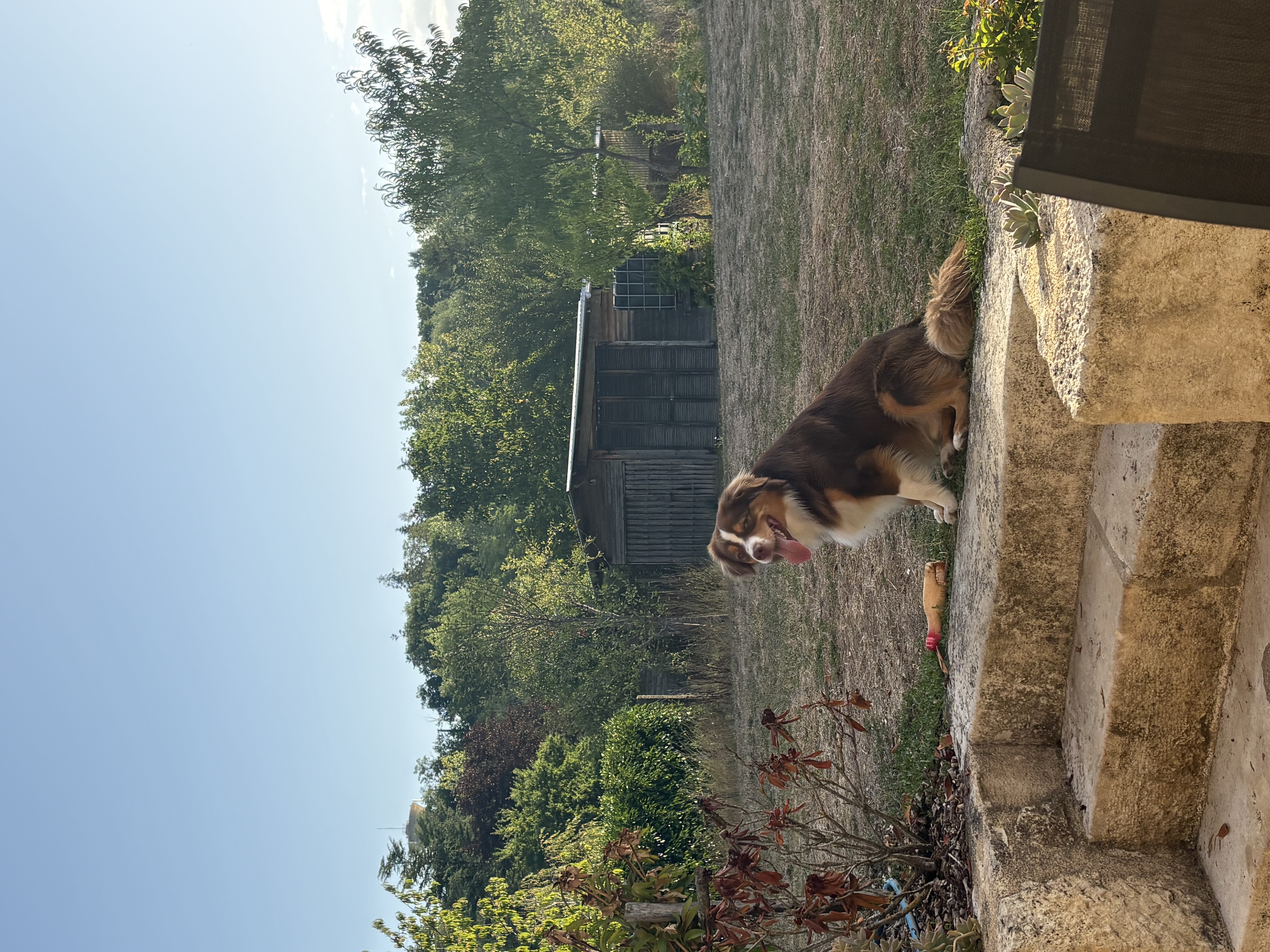 image-14