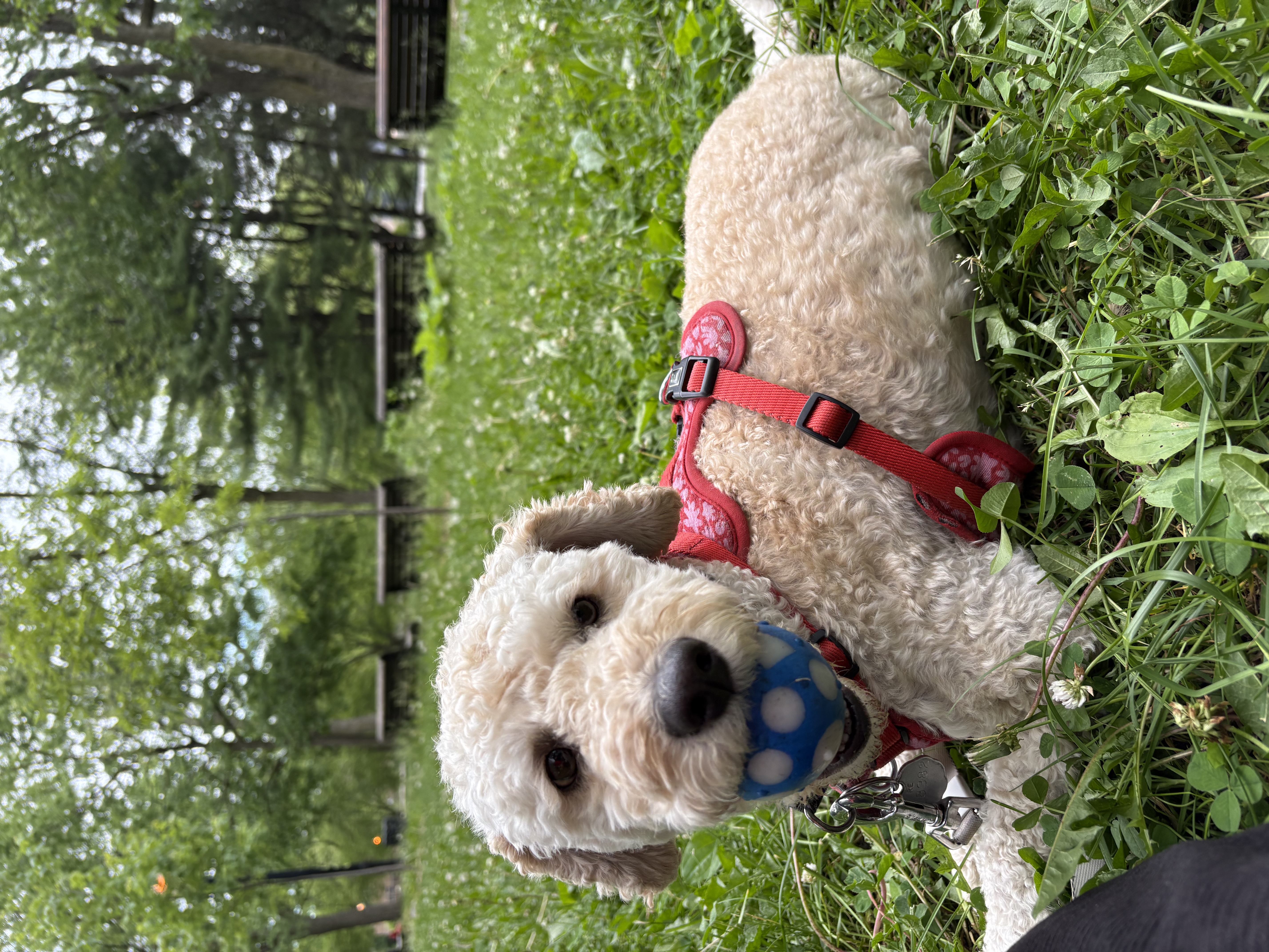 image-27