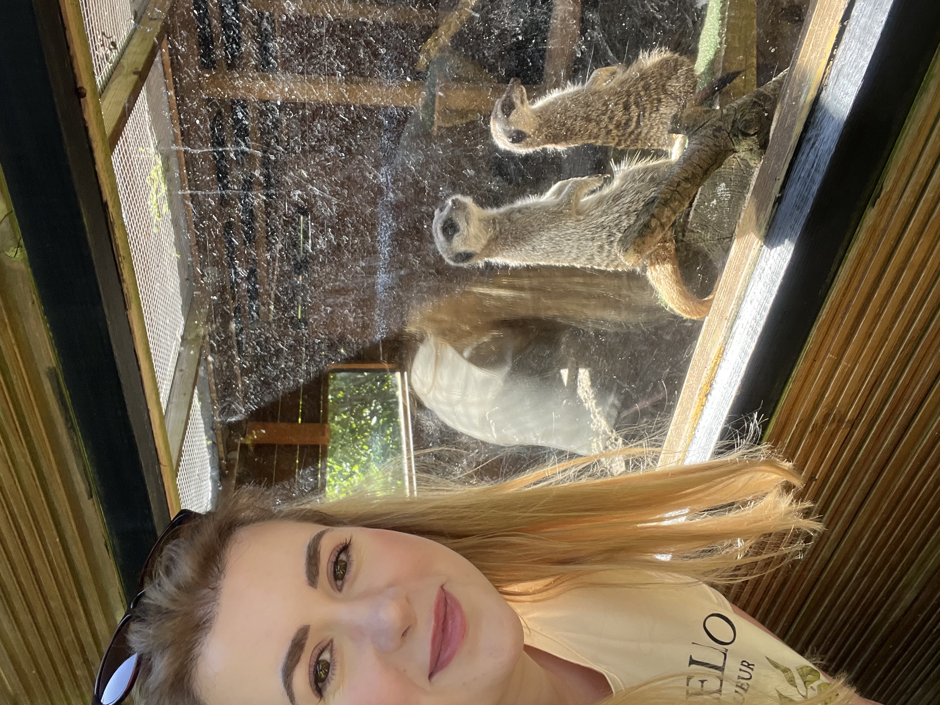 image-0