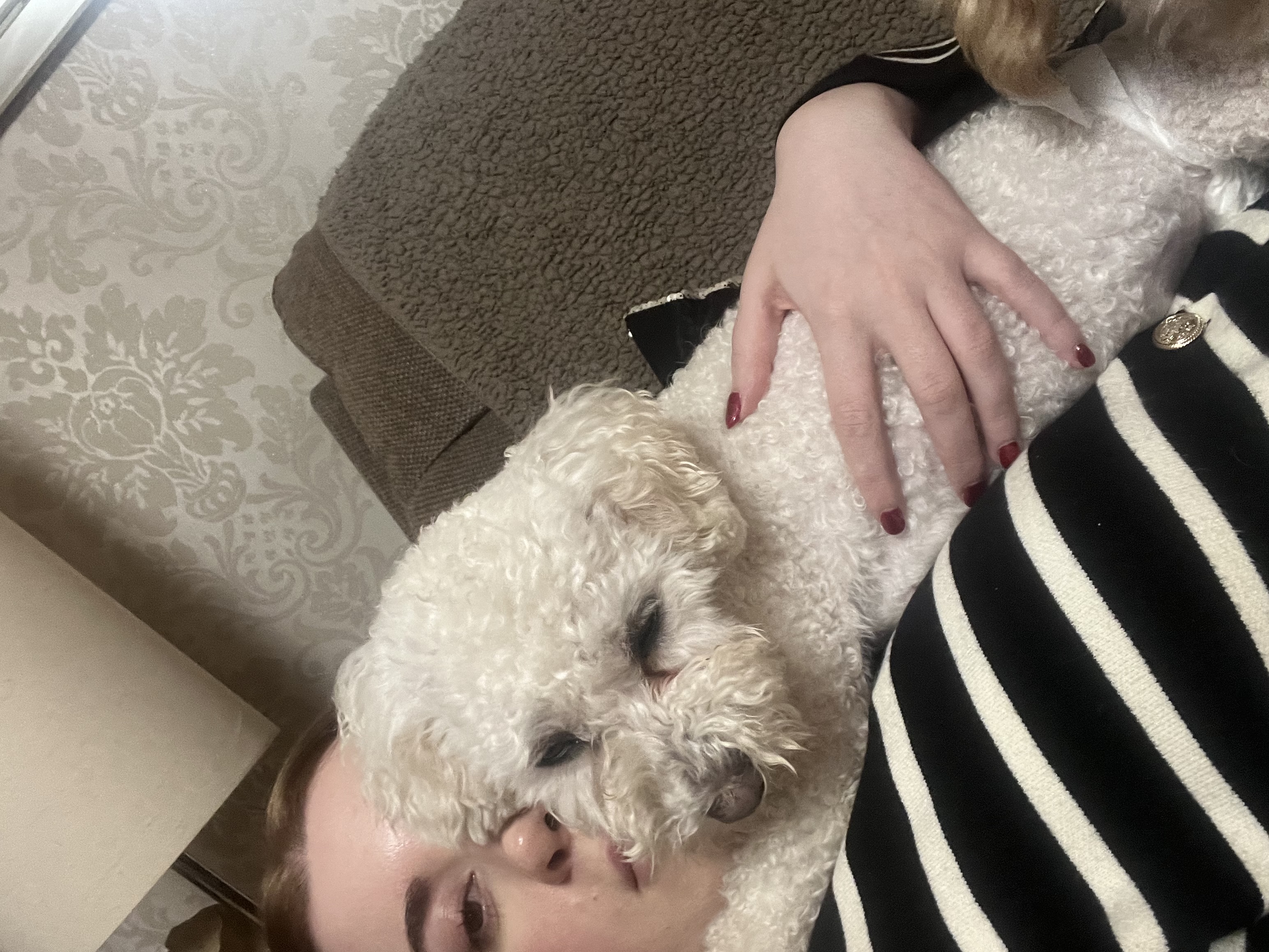 image-8